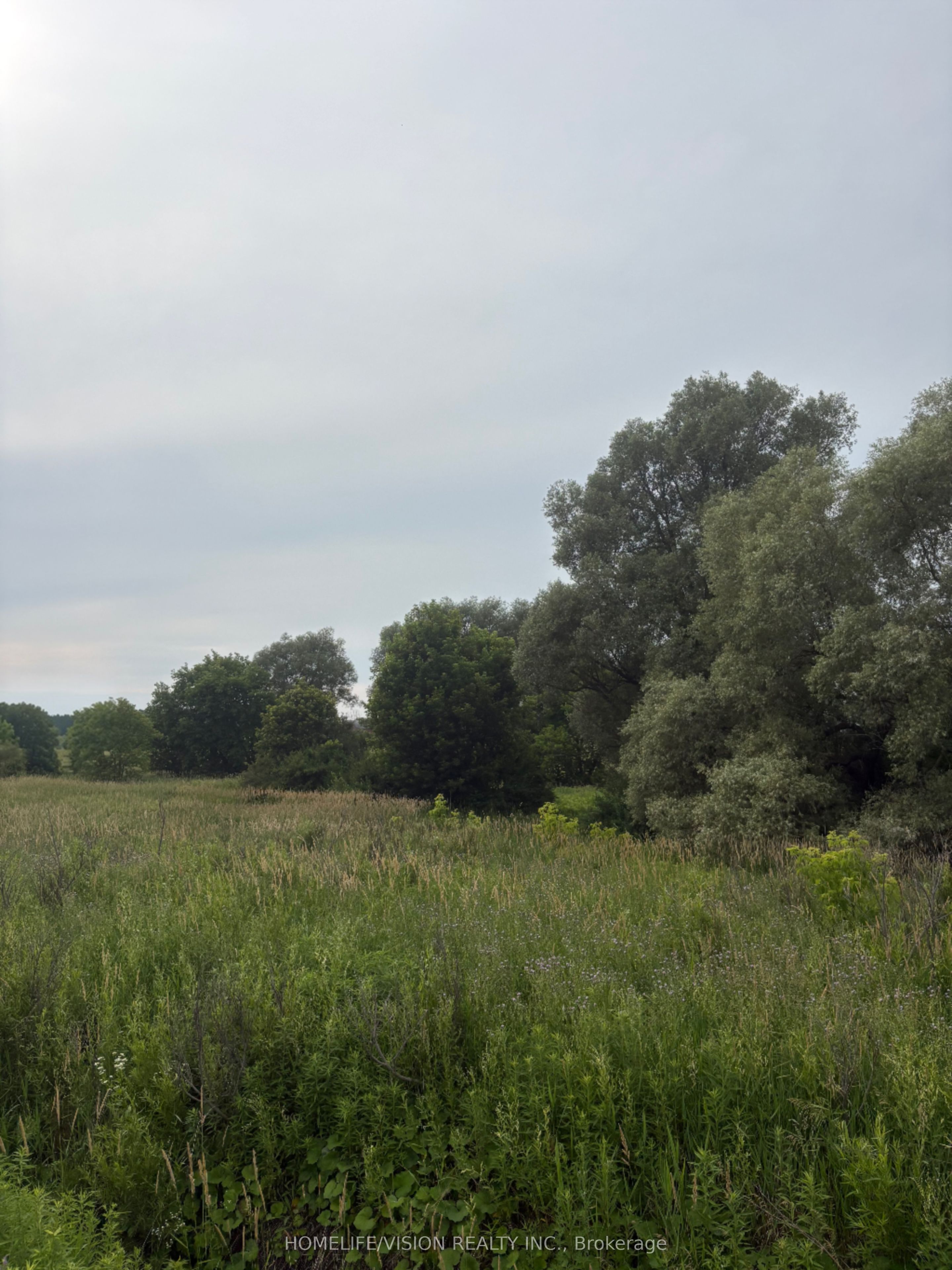 0 Highway 89 Property Photo 4