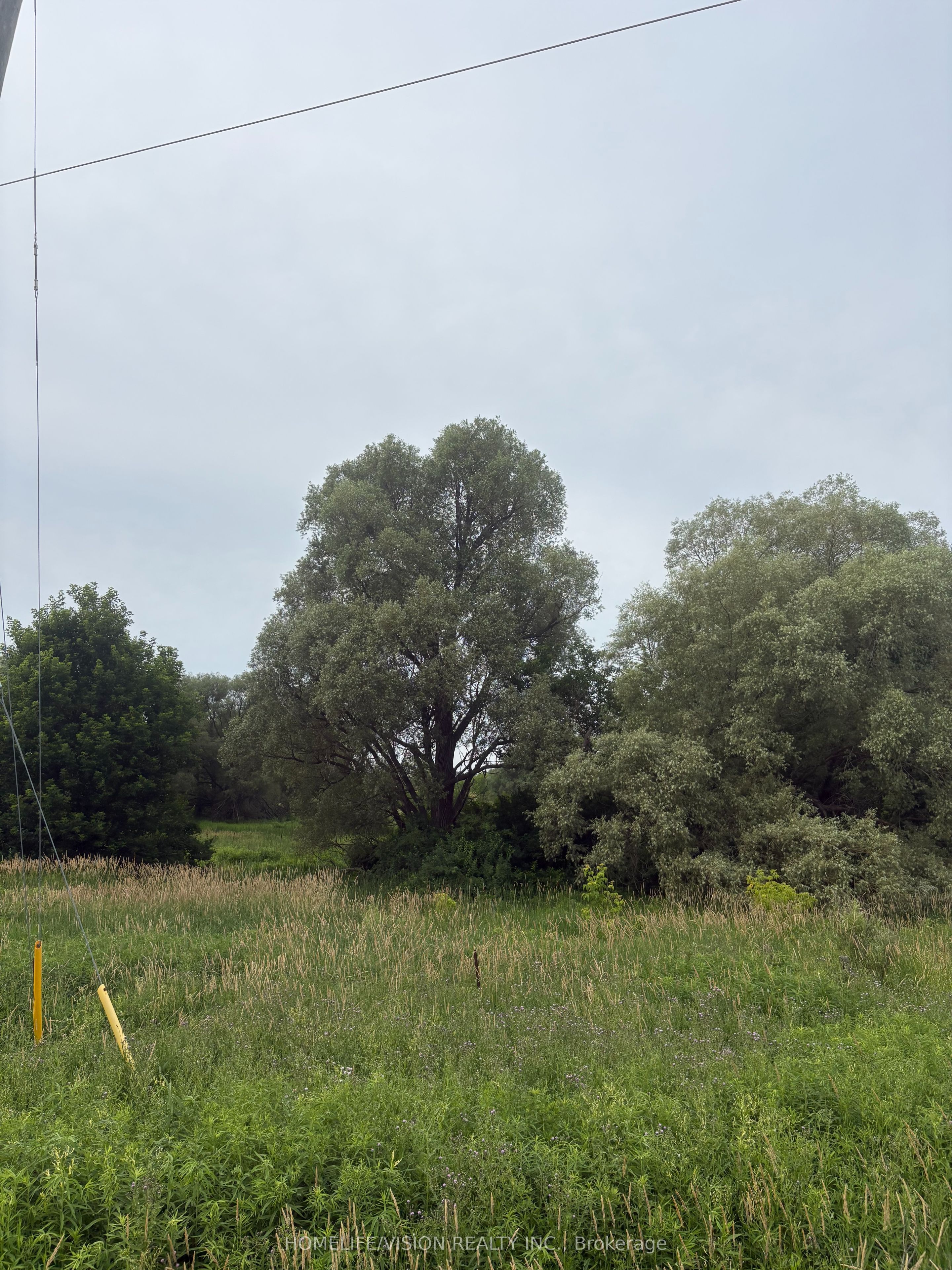 0 Highway 89 Property Photo 5