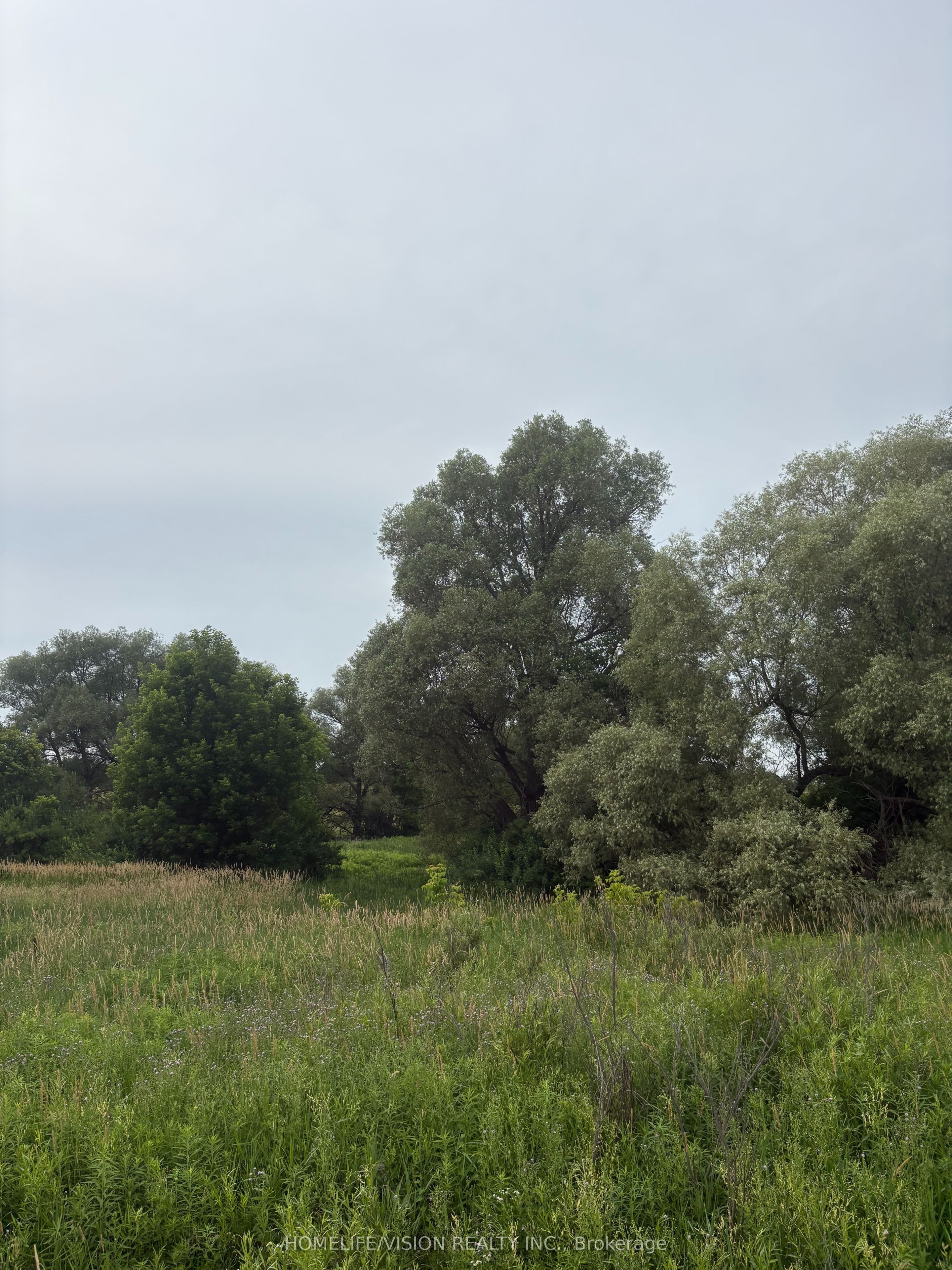 0 Highway 89 Property Photo 6