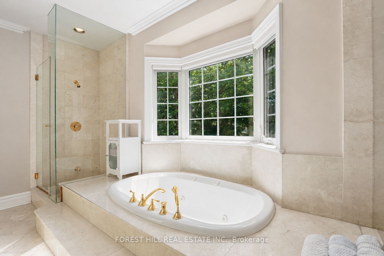 161 Renaissance Court Property Photo 28