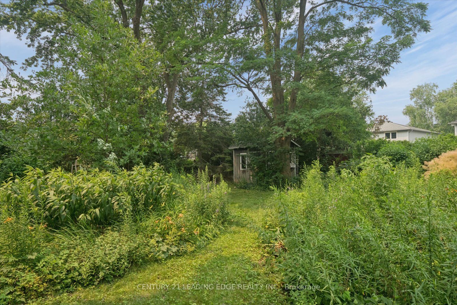 6 Thomas Kinnear Court Property Photo 25