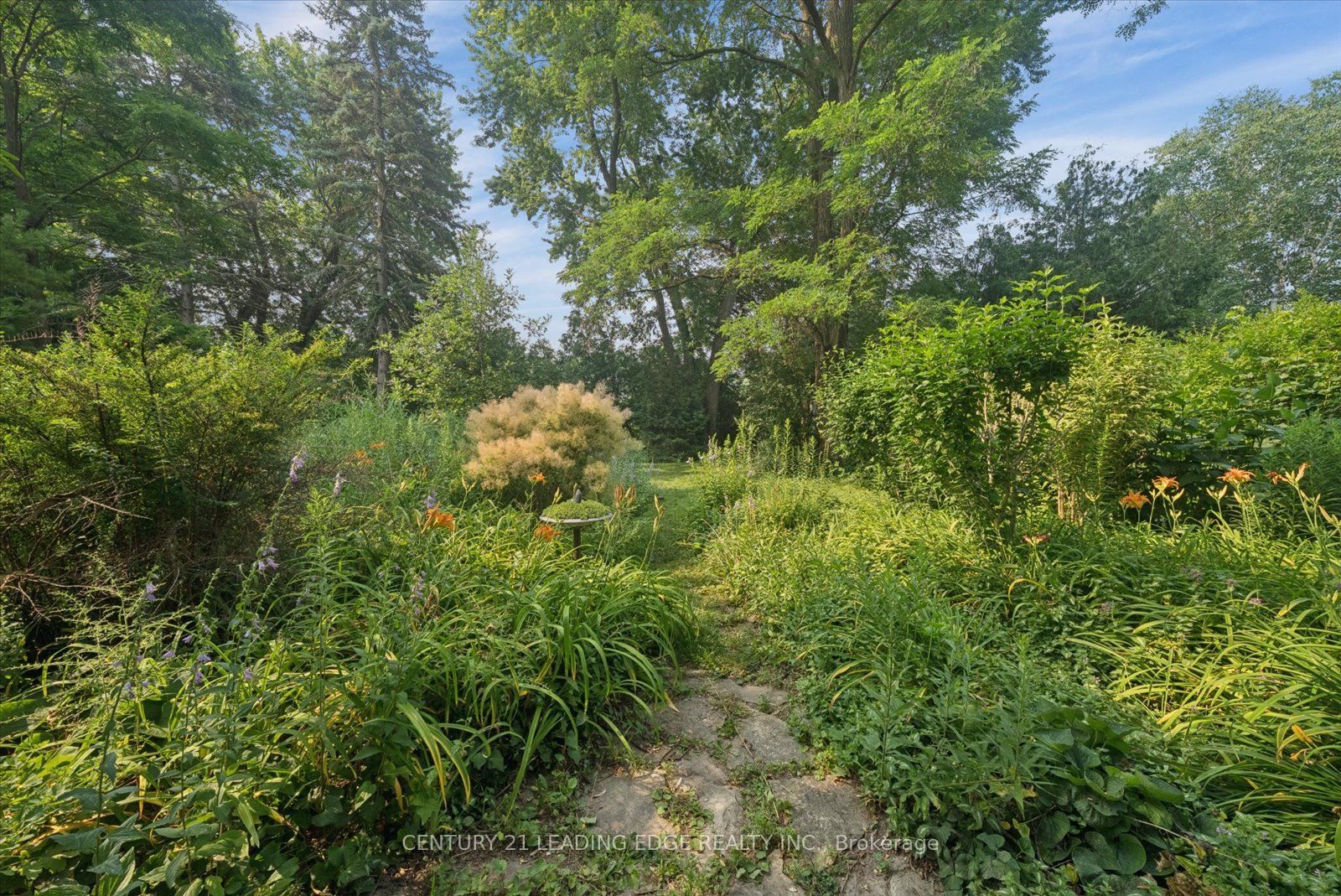 6 Thomas Kinnear Court Property Photo 26