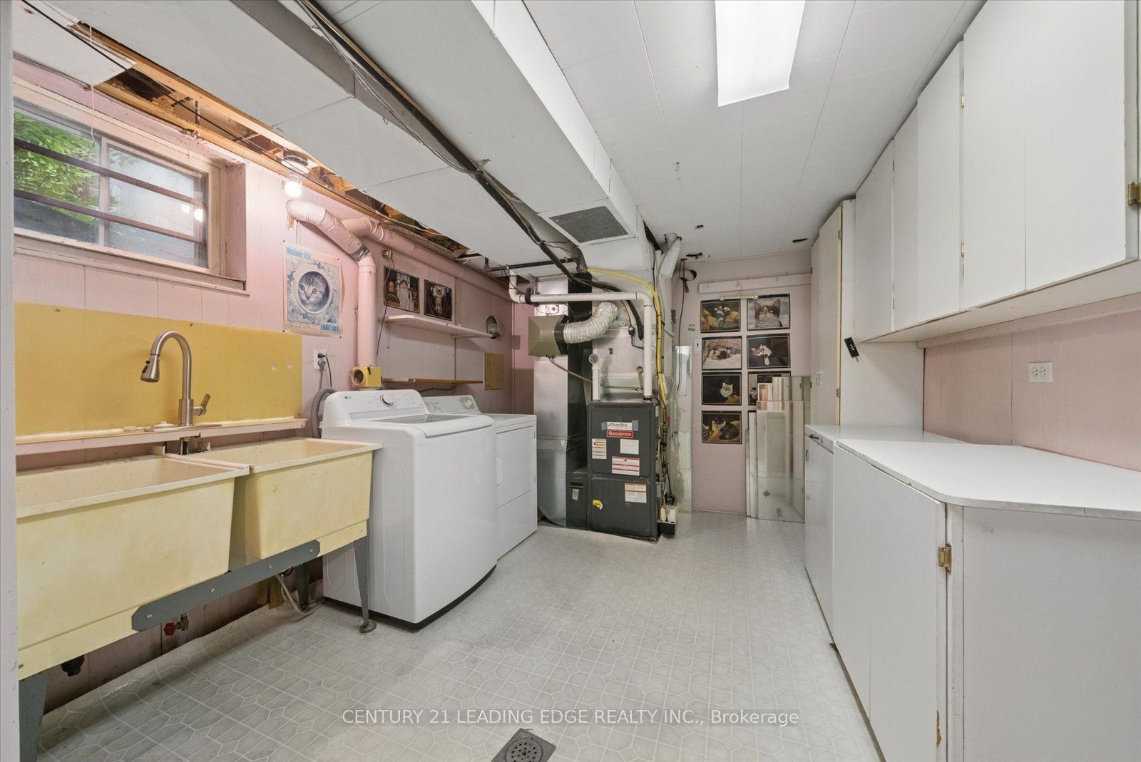 6 Thomas Kinnear Court Property Photo 41