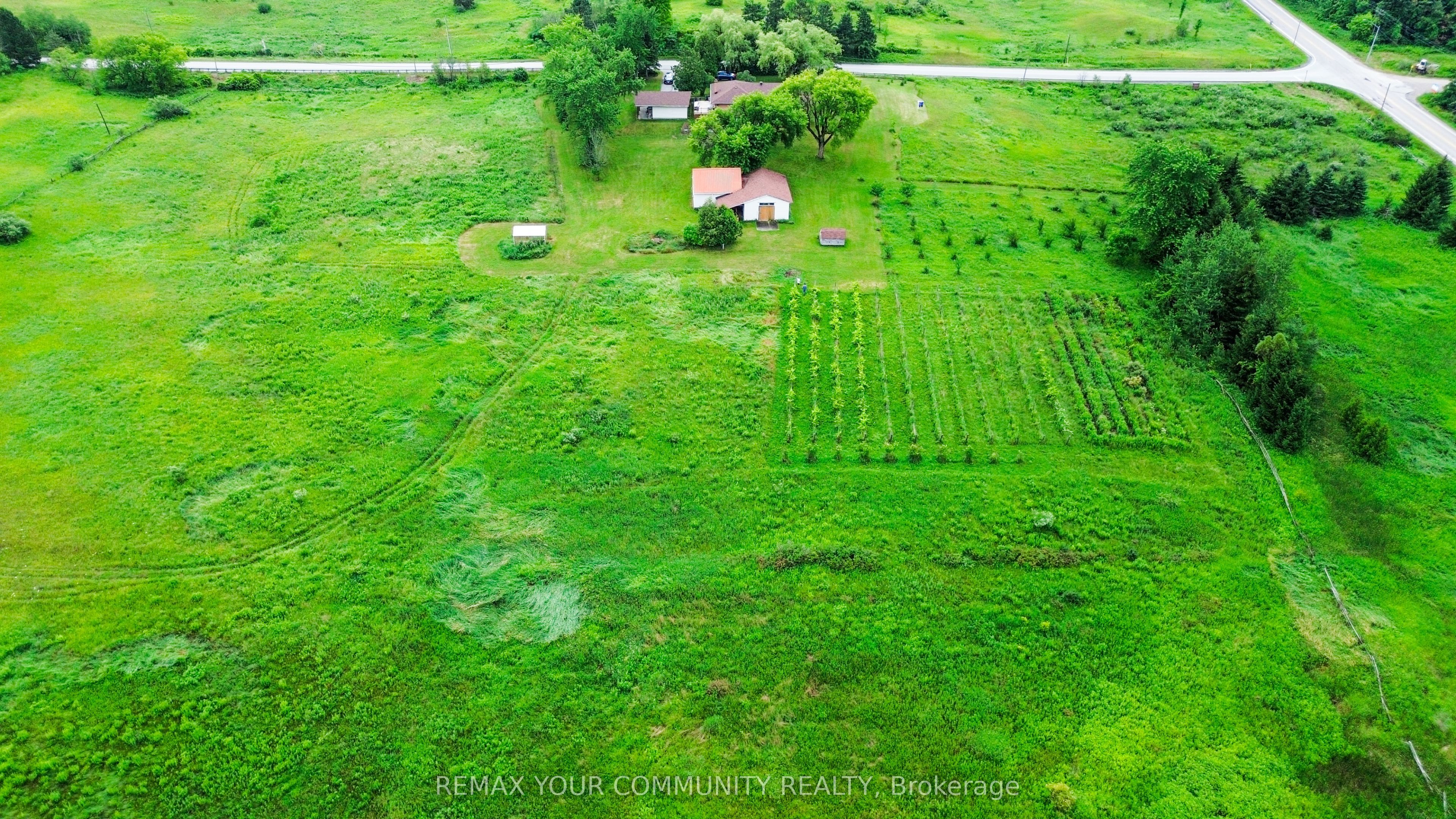 2950 17th Side Road Property Photo 5