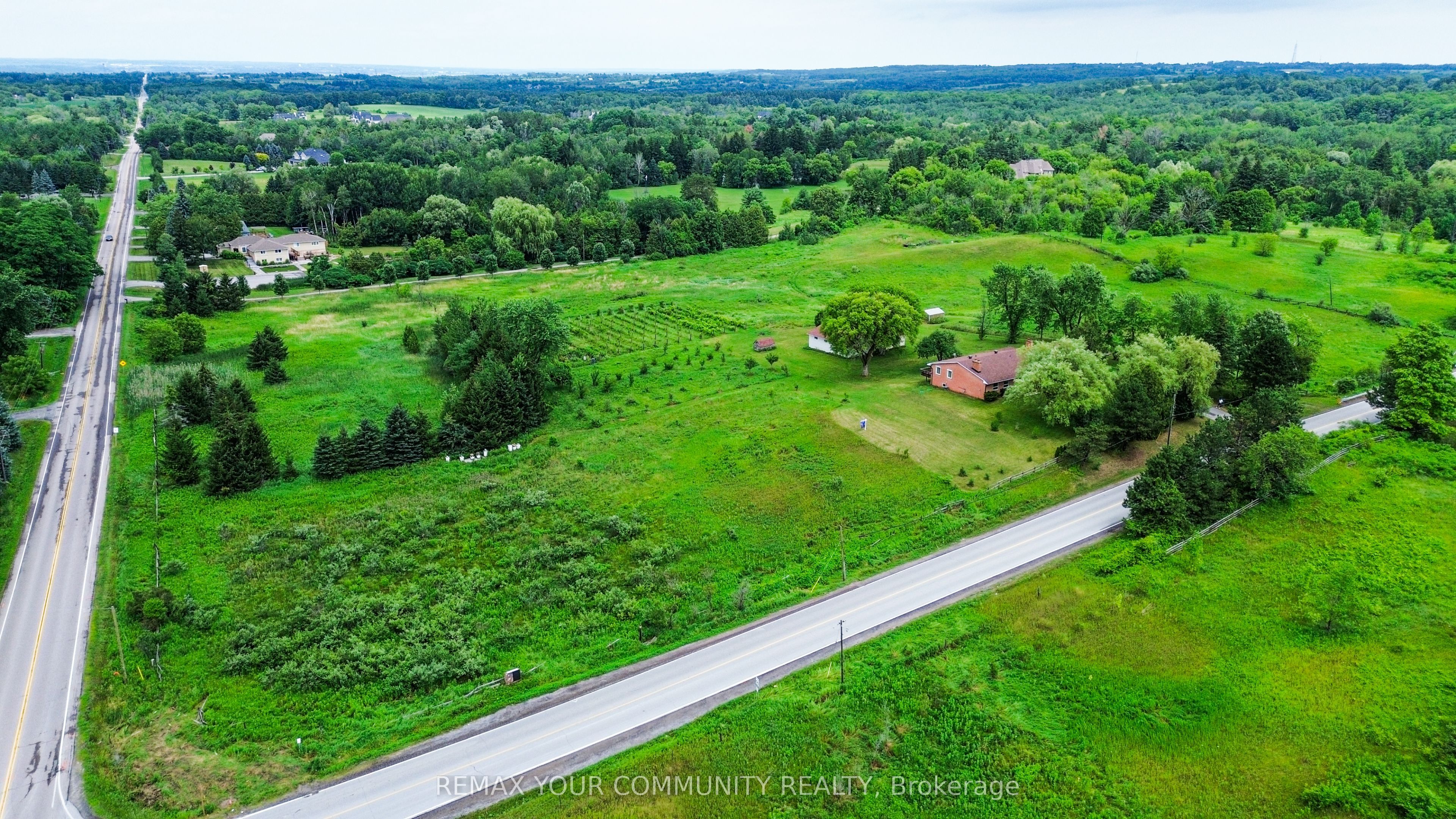 2950 17th Side Road Property Photo 6
