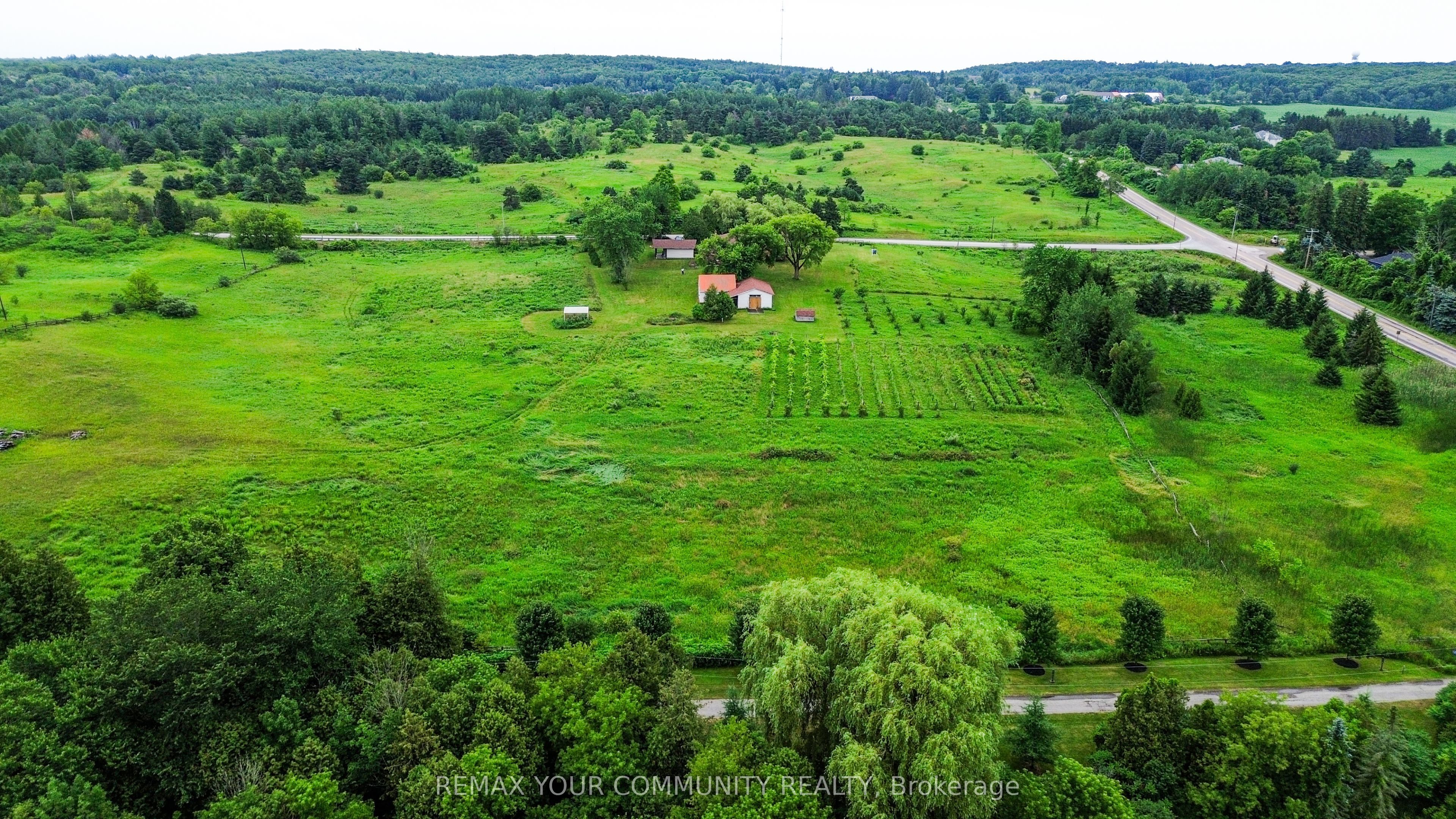 2950 17th Side Road Property Photo 48