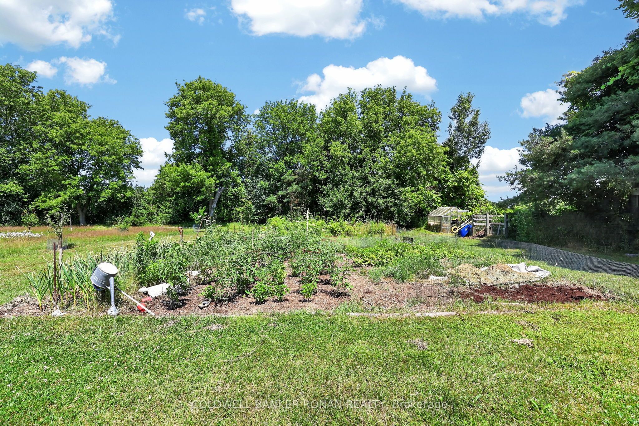 4087 Concession Rd 5 Property Photo 50