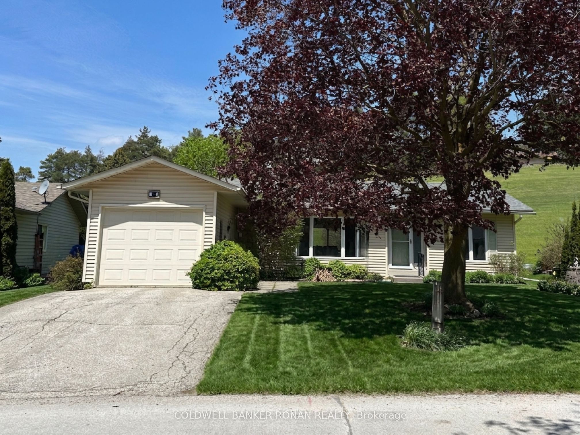 4 Tecumseth Pines Drive Property Photo 25