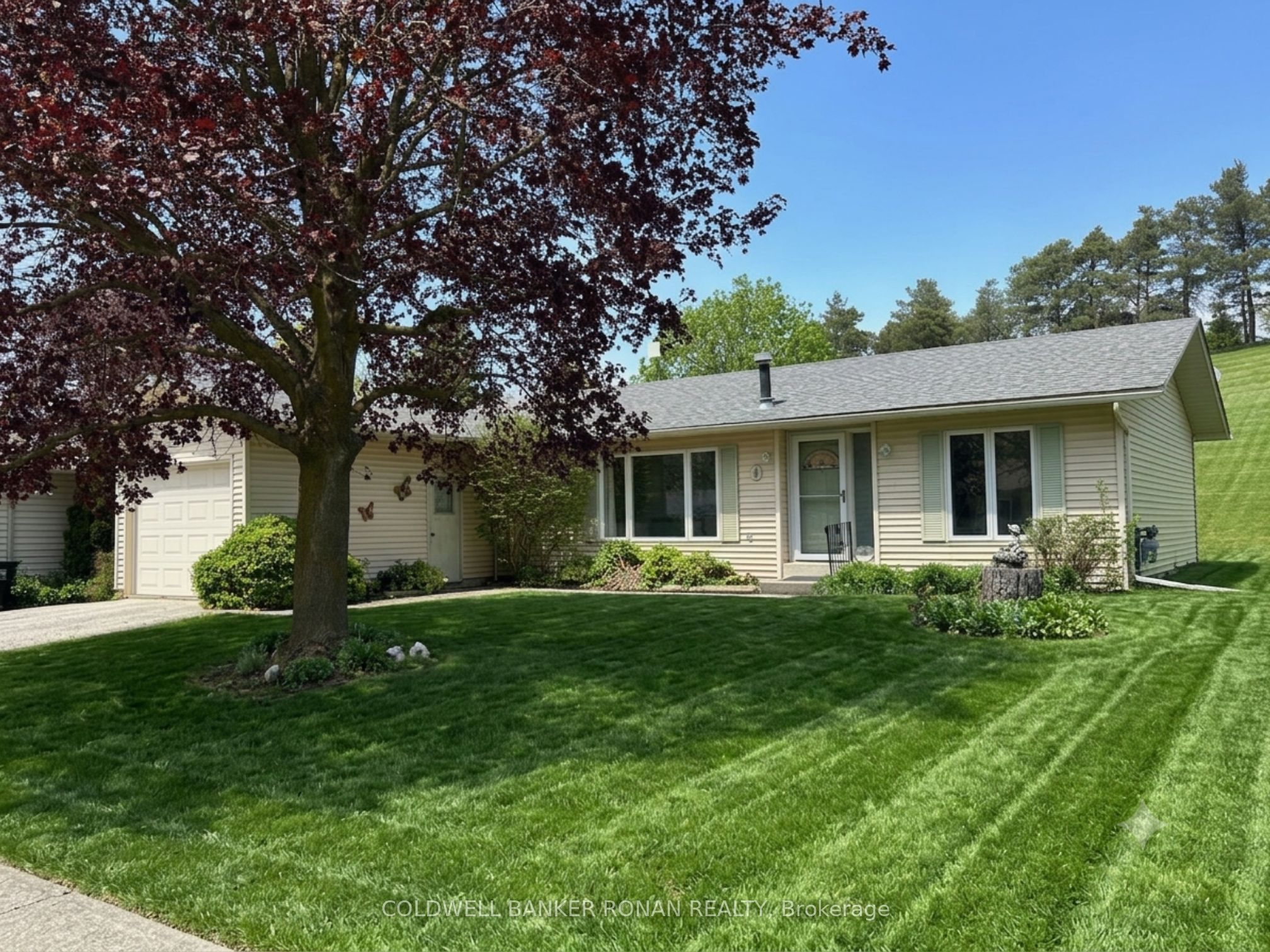 4 Tecumseth Pines Drive Property Photo 26