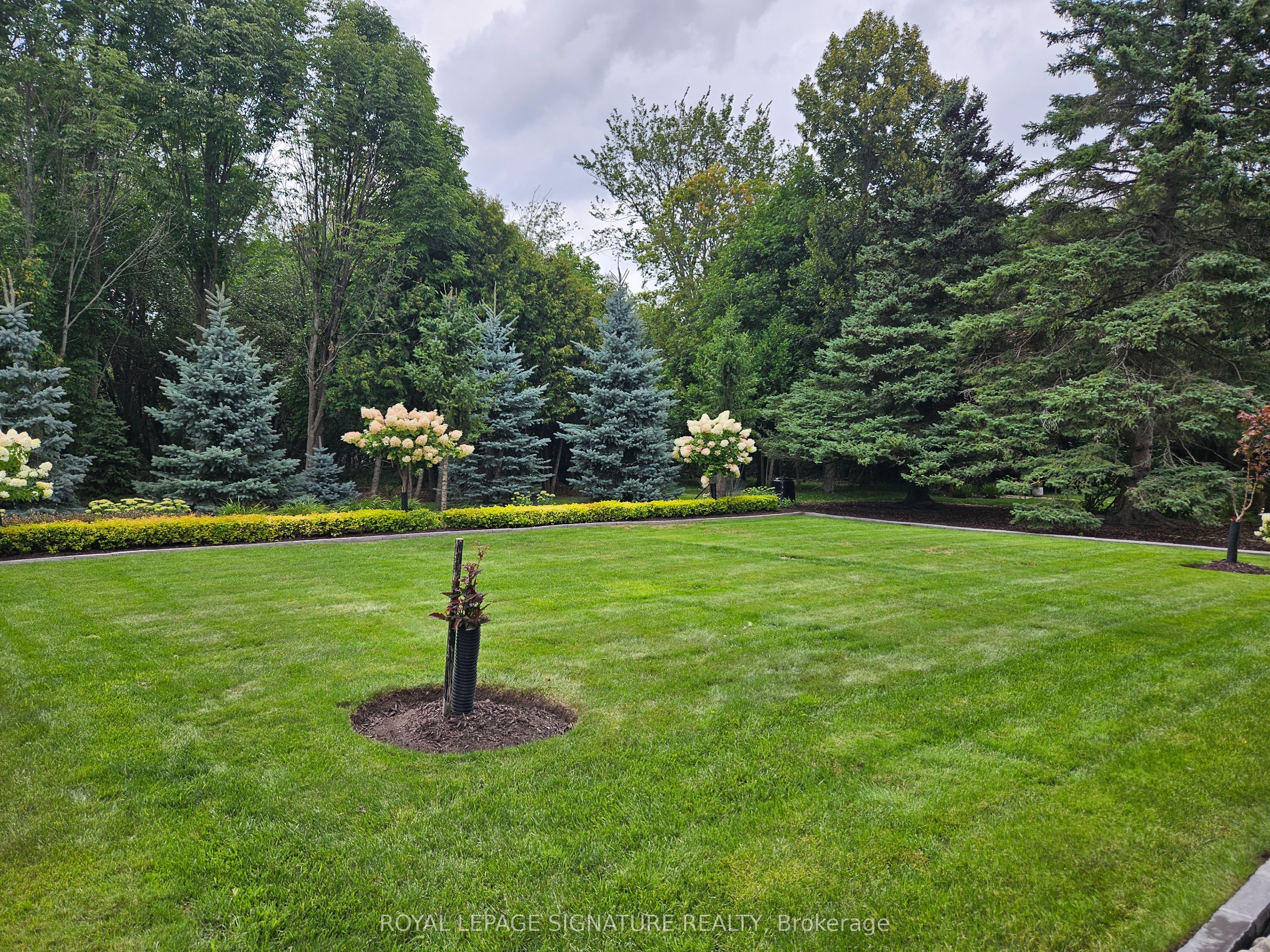 30 Craigleith Crescent Lower Property Photo 35