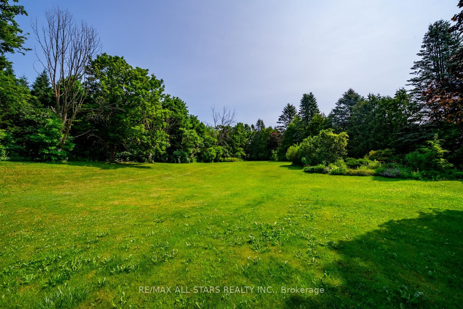 23 Forfardale Road Property Photo 45