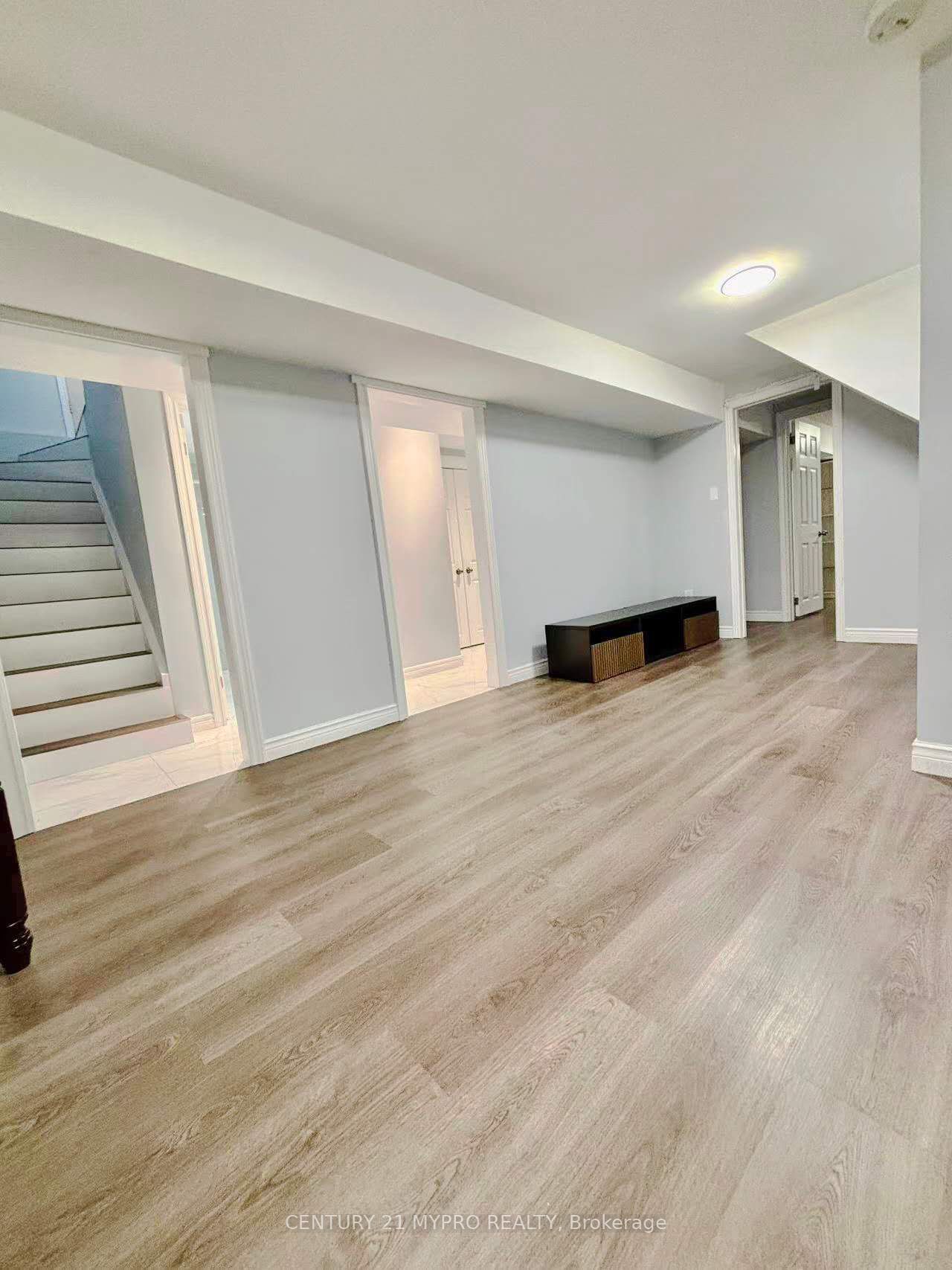 56 Longwater Chase Basement Property Photo 4