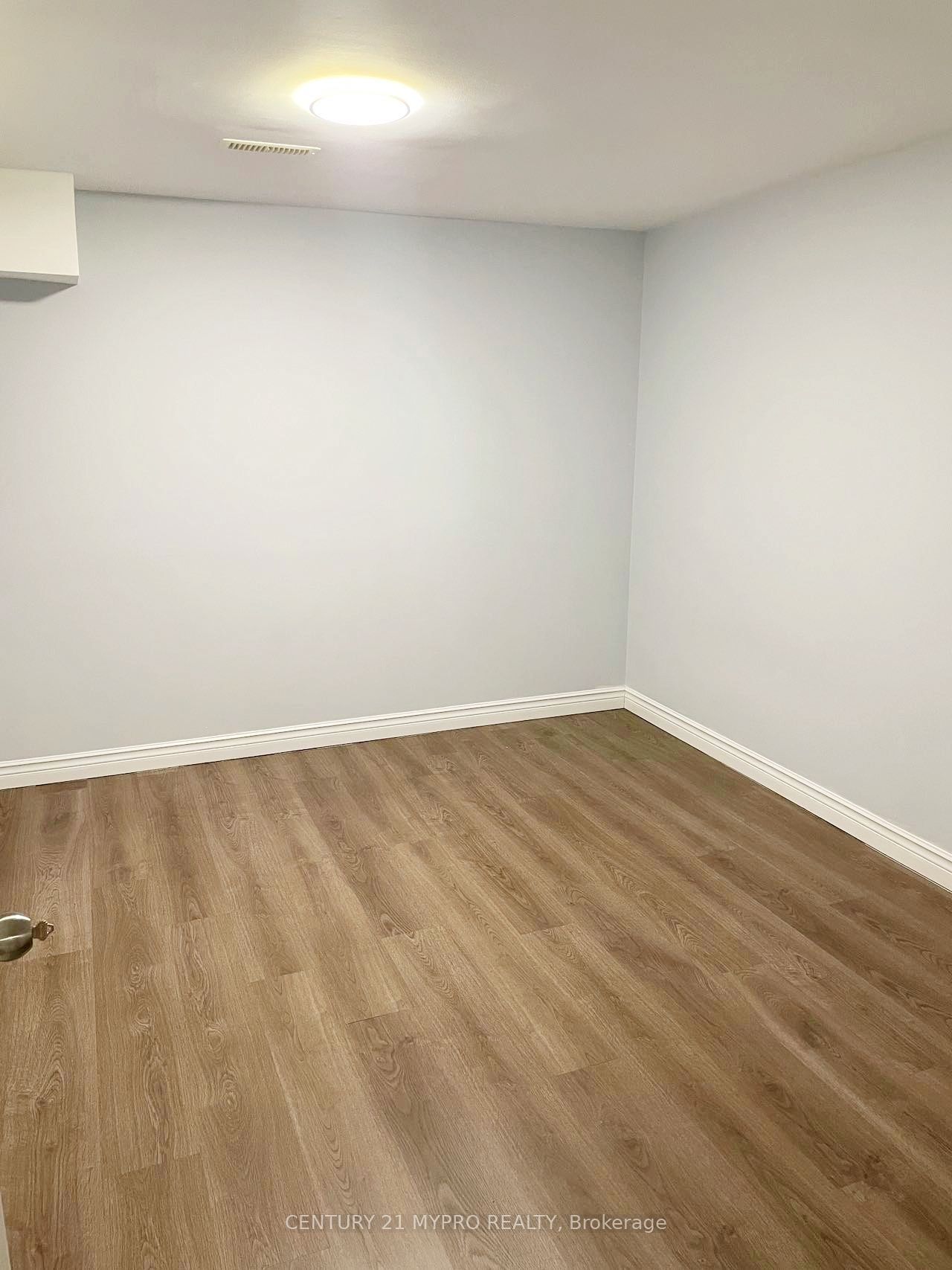 56 Longwater Chase Basement Property Photo 7