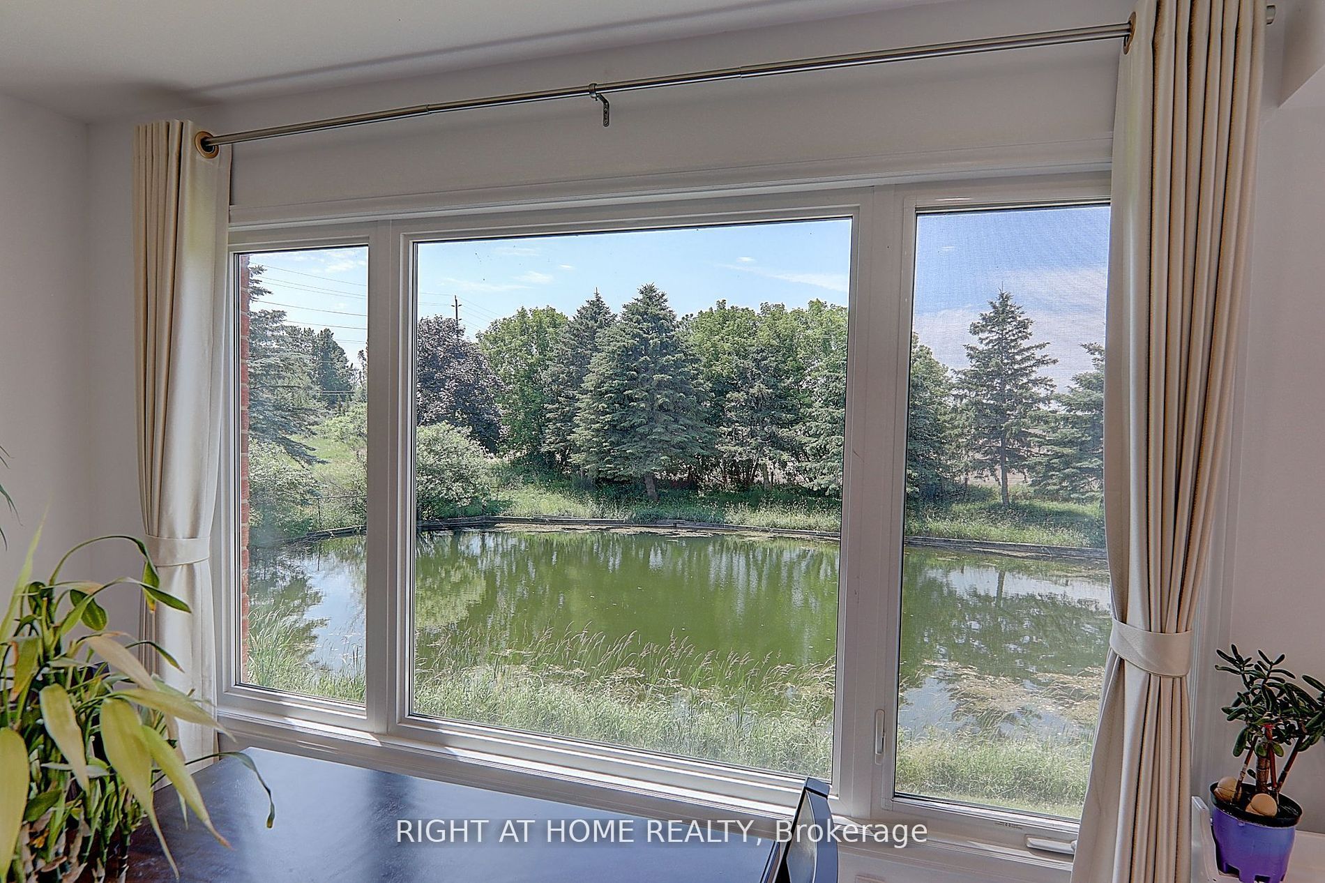 1008 Mount Albert Road Property Photo 9