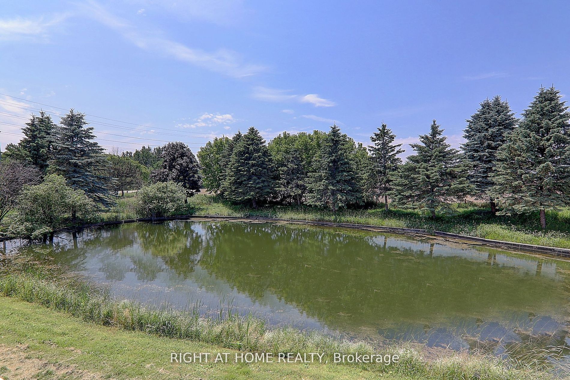 1008 Mount Albert Road Property Photo 29