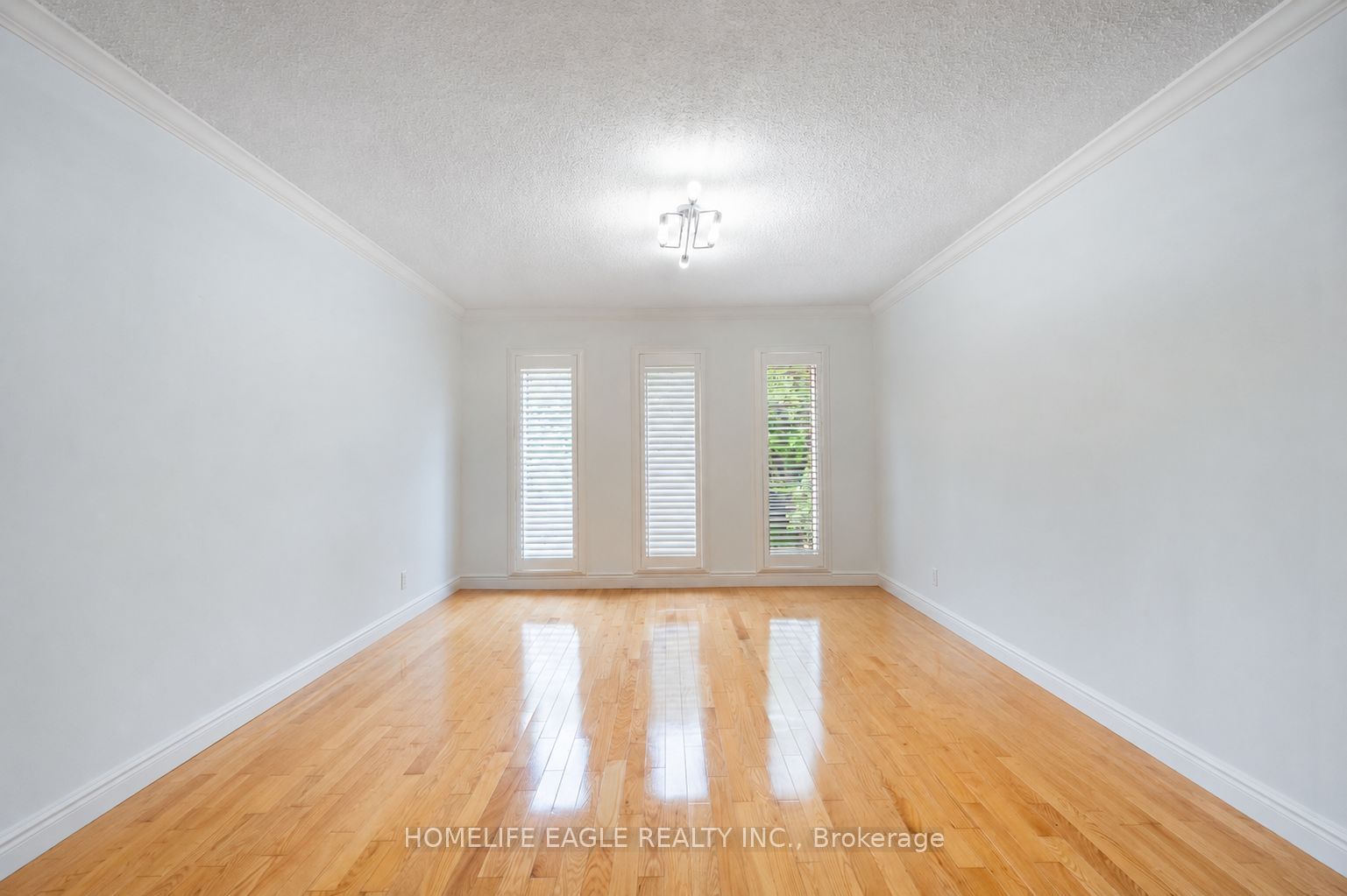 5803 3rd Line Property Photo 11