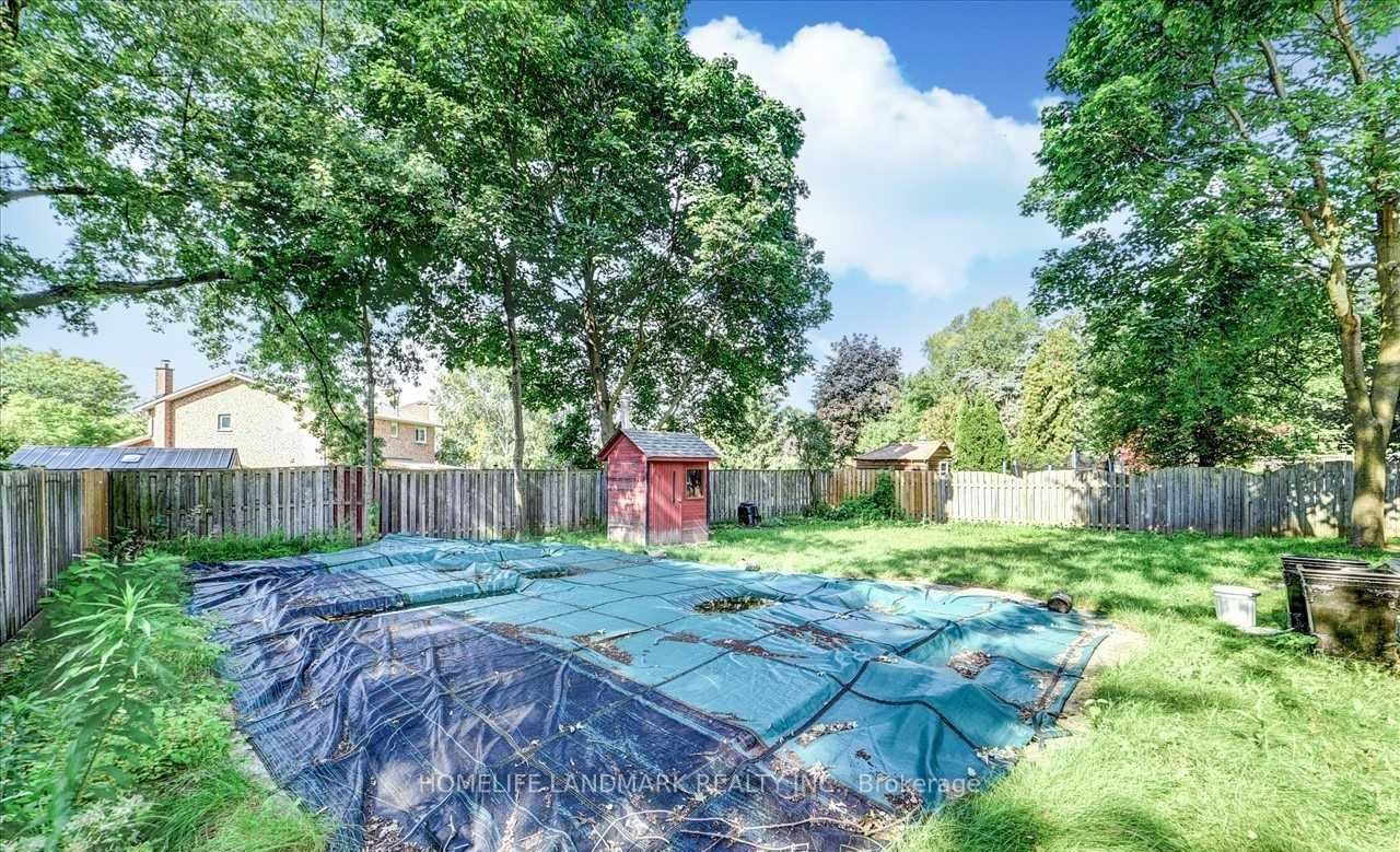 62 Peter Street Property Photo 29