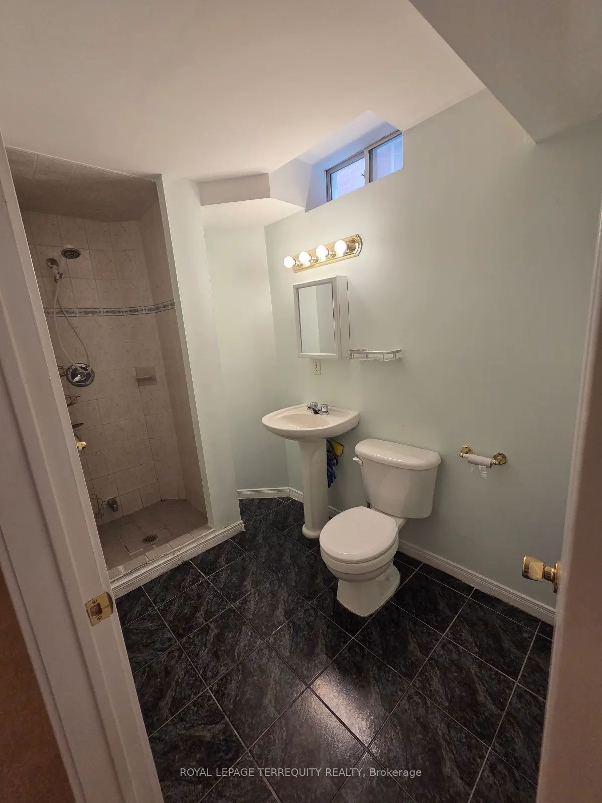 16 Royal Chapin Crescent Bsmt Property Photo 19