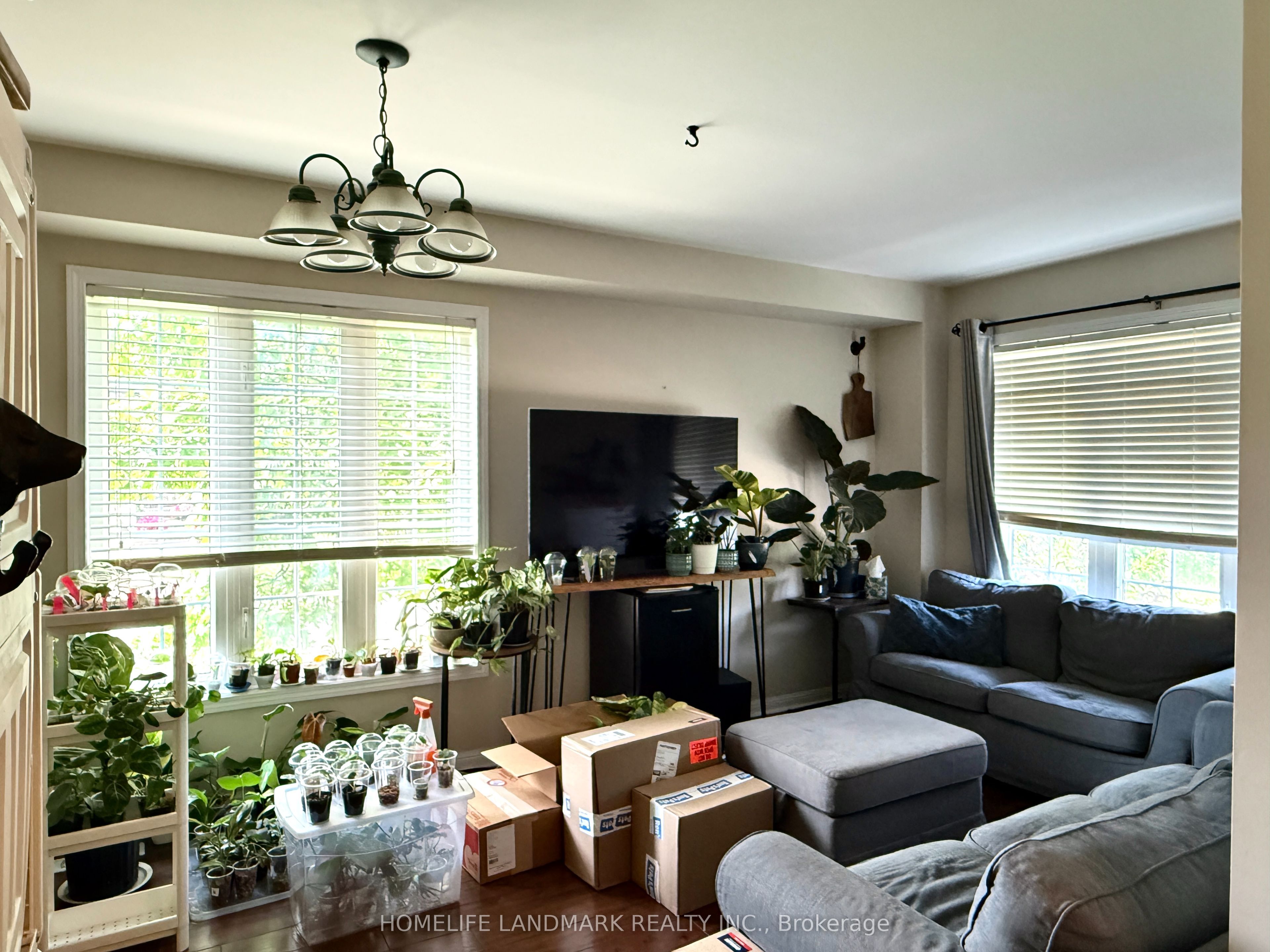 350 Gilpin Drive Property Photo 2