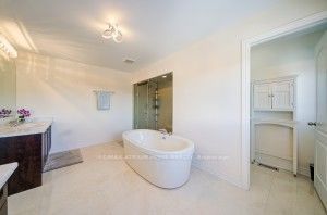 4 Goldeneye Drive Property Photo 38