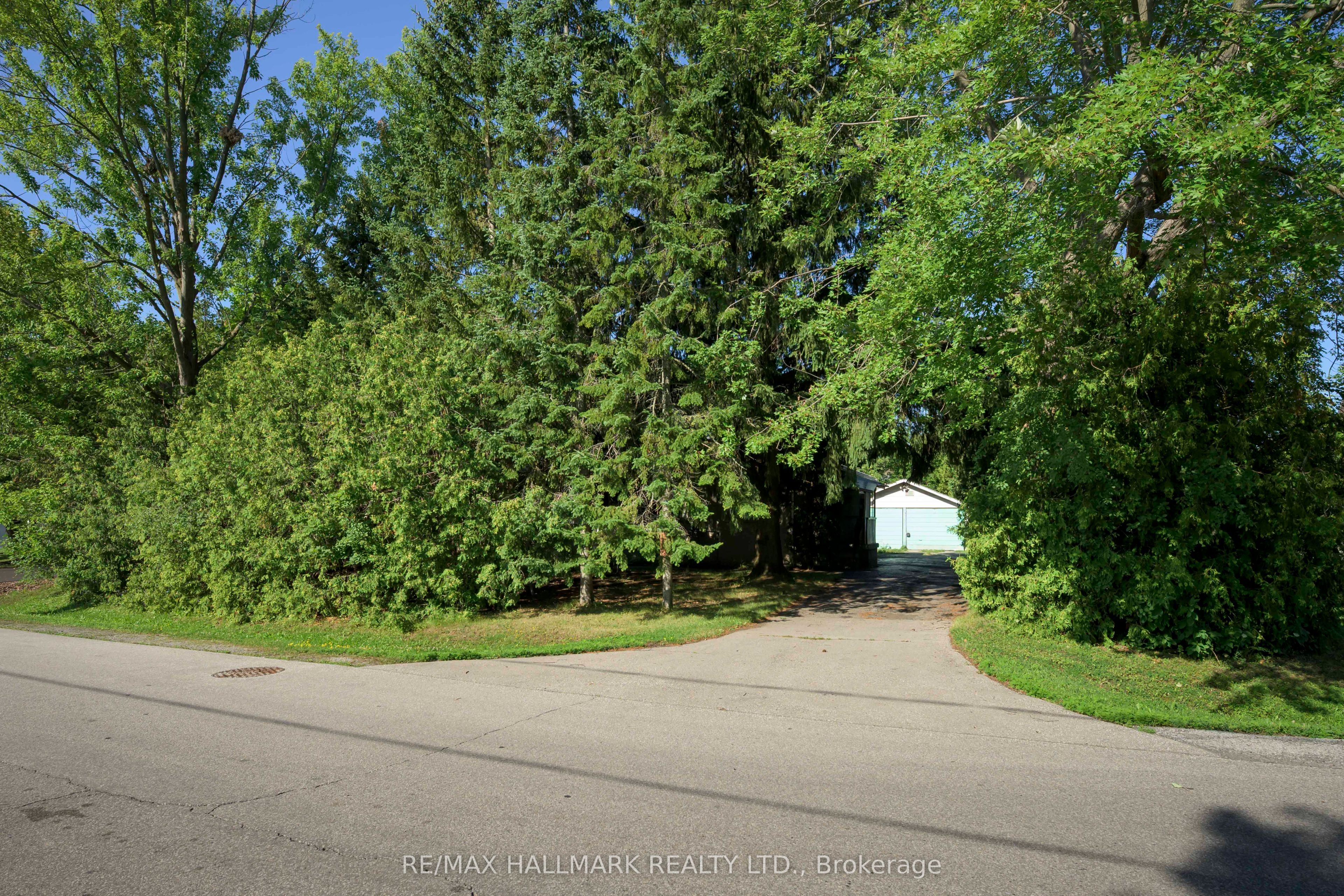 4 Crestview Road Property Photo 4