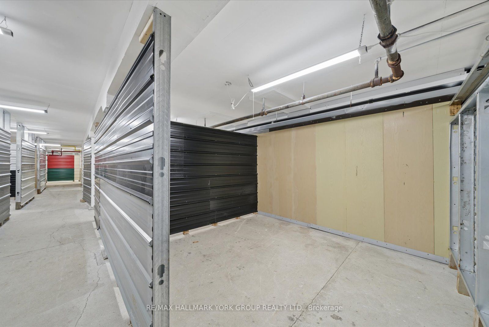21 Ann Street Property Photo 37