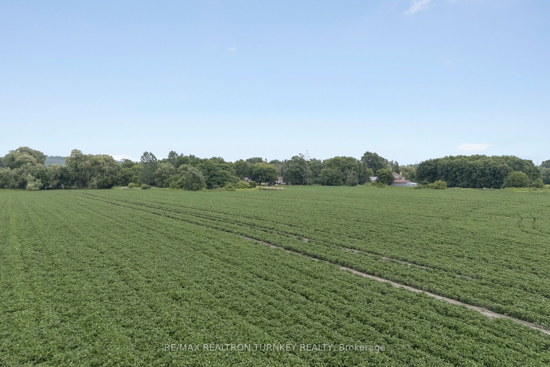 18930 Dufferin Street Property Photo 31