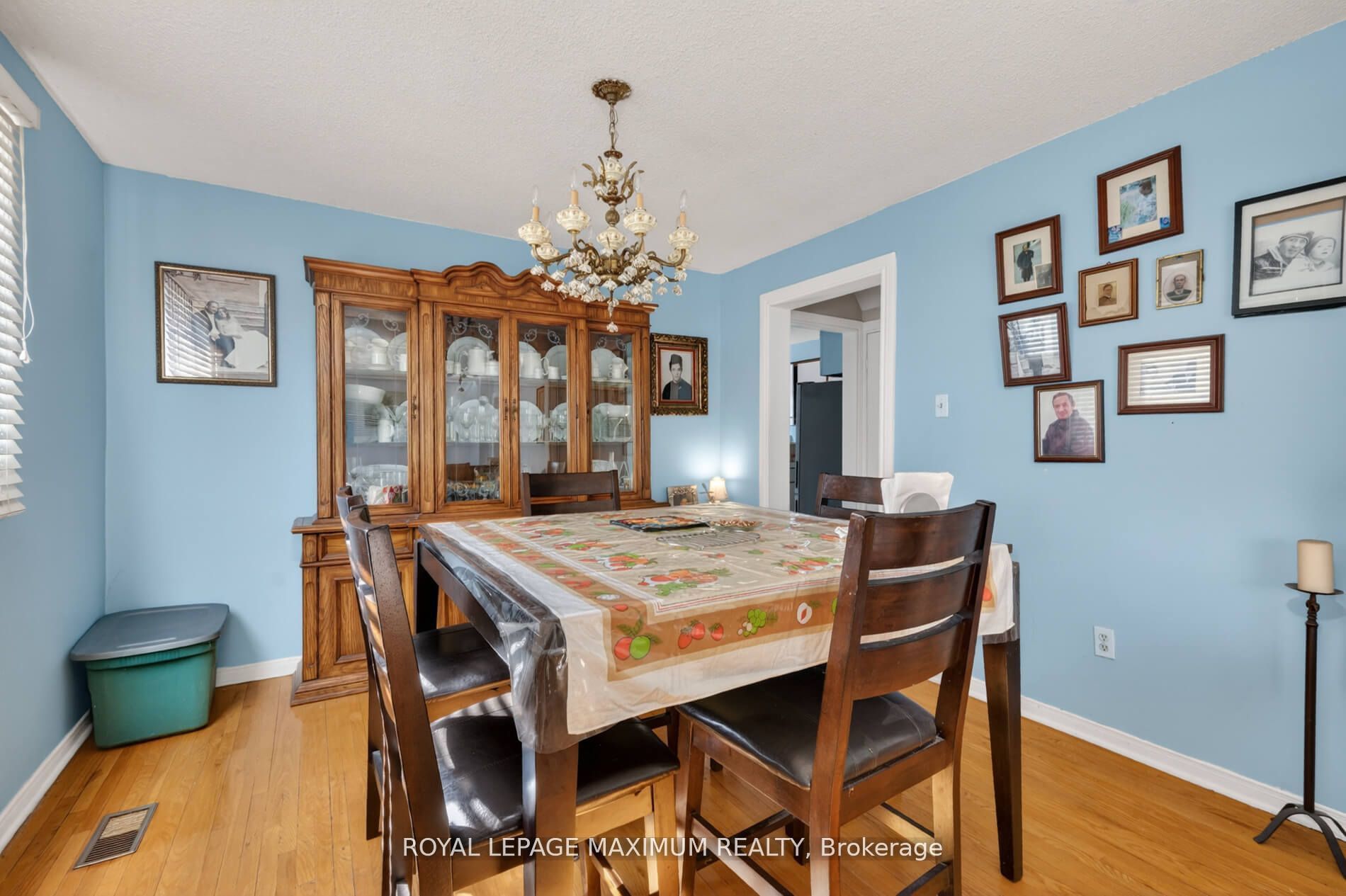 3 Muzzo Court Property Photo 11