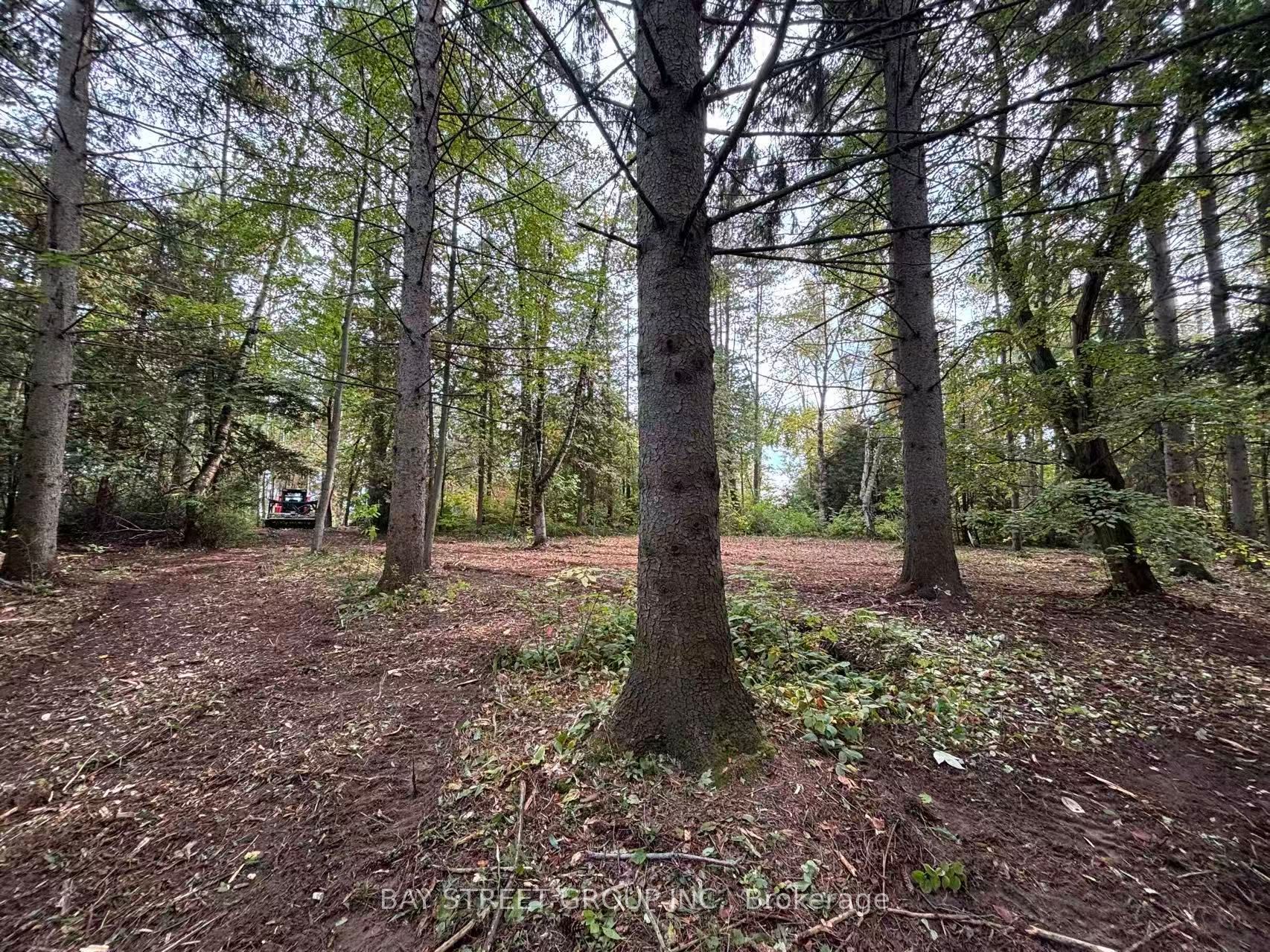 3358 Crescent Harbour Road Property Photo 3
