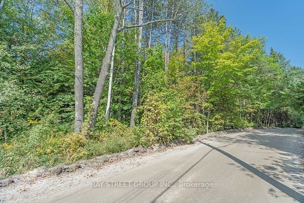 3358 Crescent Harbour Road Property Photo 6