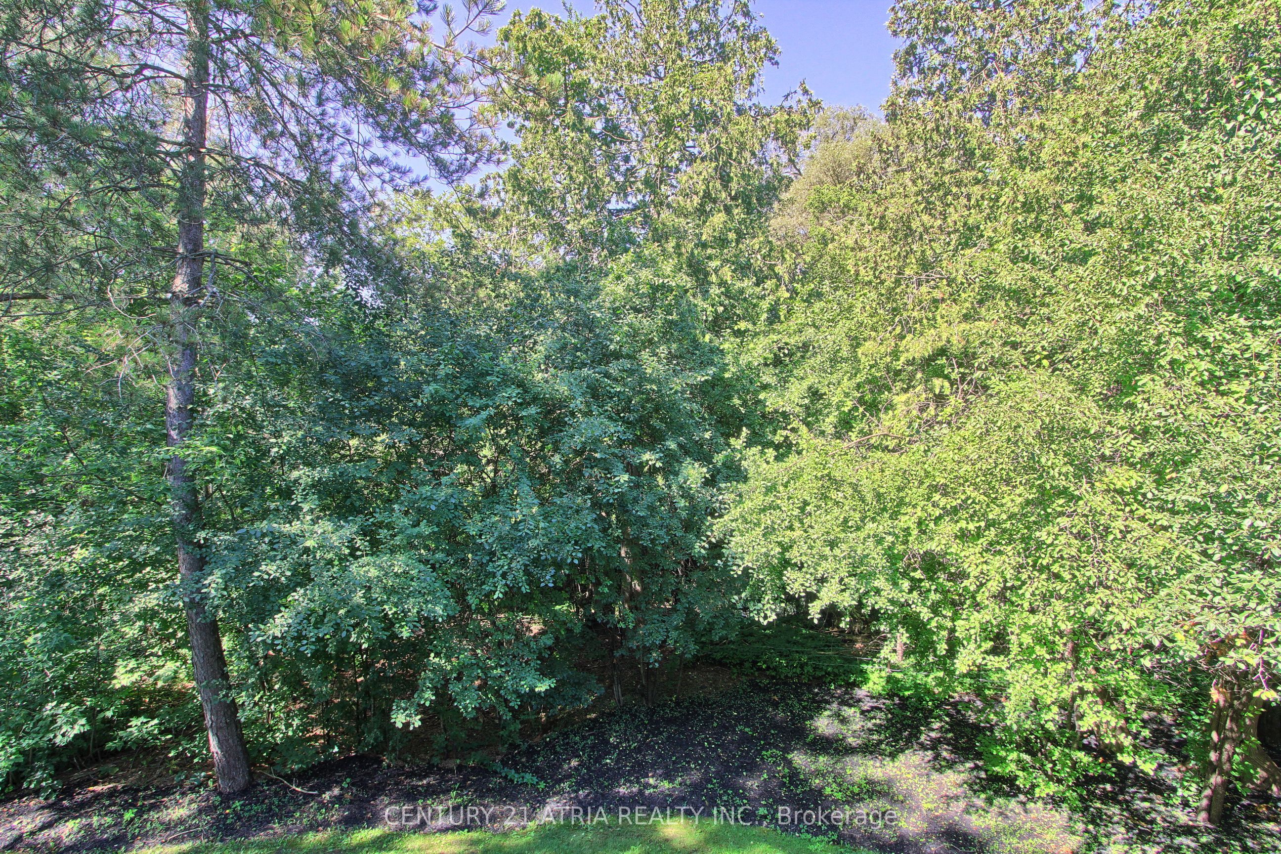 27 Anderson Place Property Photo 16