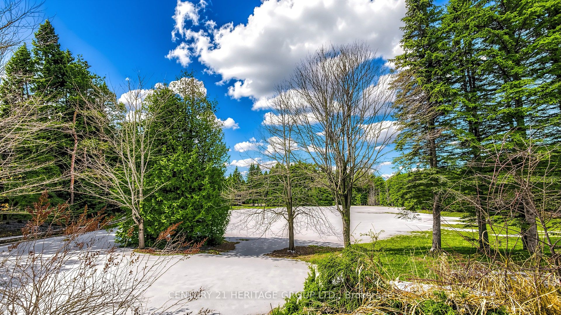 N13614990 Property Photo 42