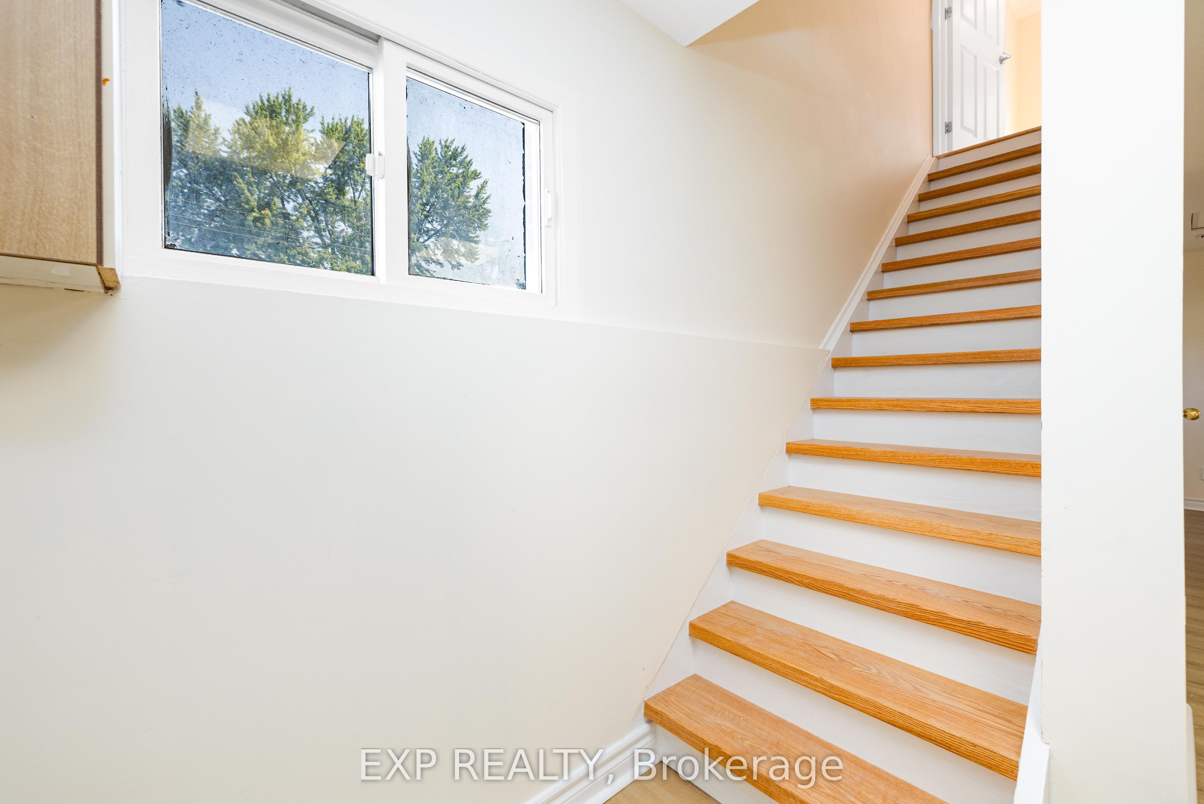 41 Hodgins Avenue Property Photo 33