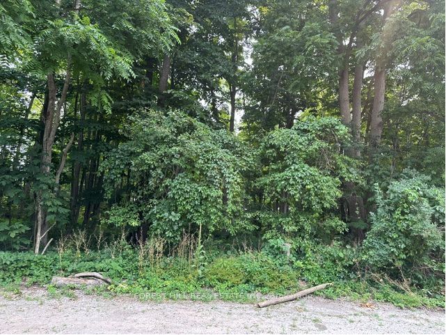 2728 25th Side Road Property Photo 1