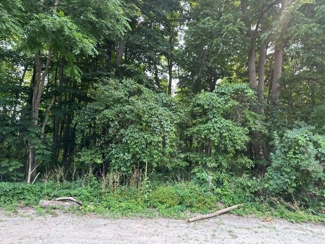 2728 25th Side Road Property Photo 3