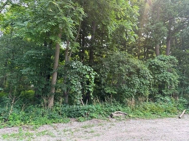 2728 25th Side Road Property Photo 5