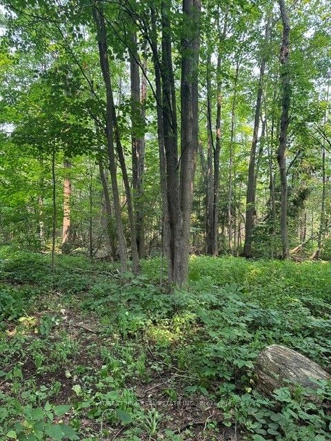 2728 25th Side Road Property Photo 6