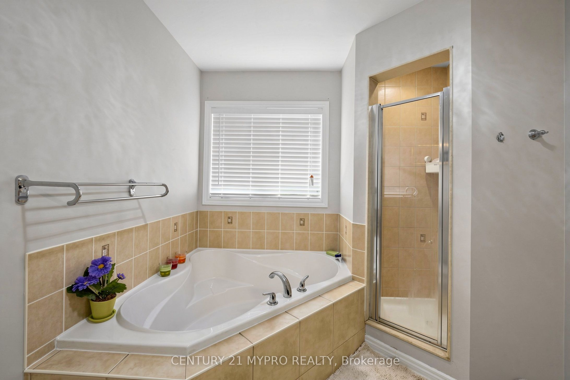 225 Silver Maple Road Property Photo 21