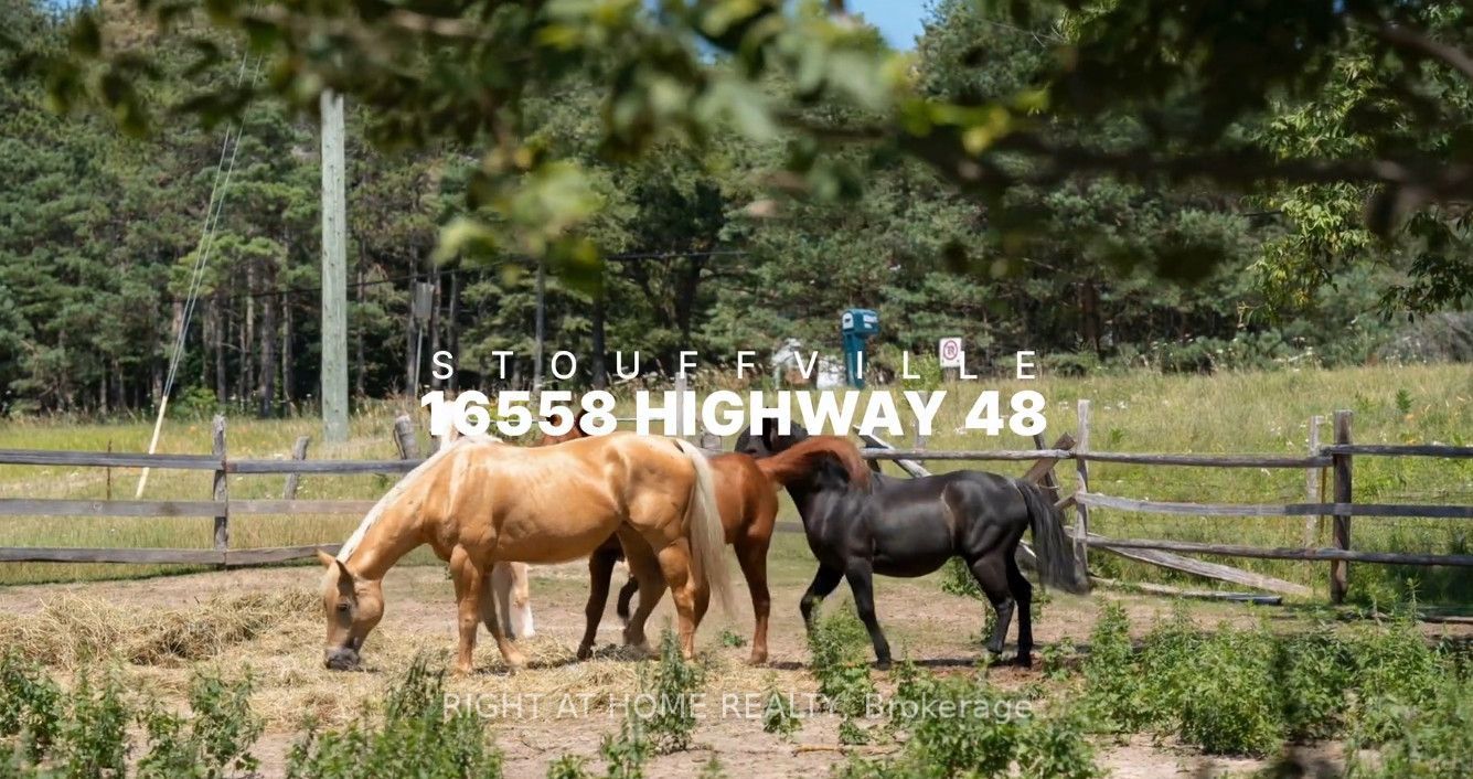 16558 Highway 48 Property Photo 1
