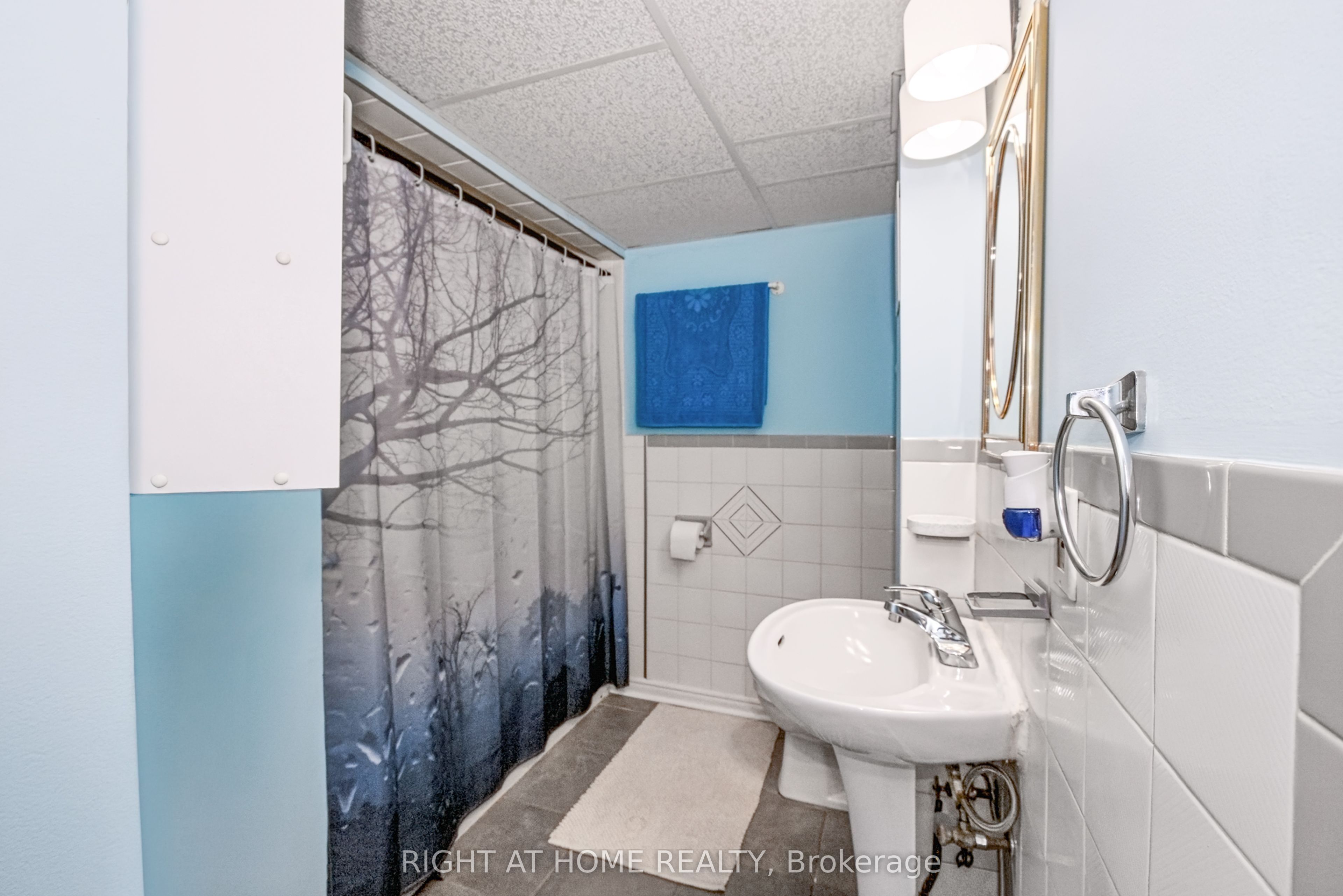 229 Britannia Avenue Property Photo 27