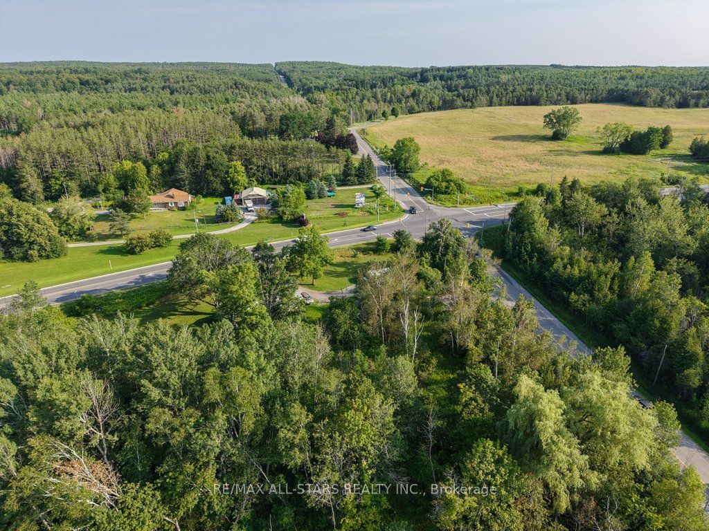 6059 6th Concession Property Photo 29