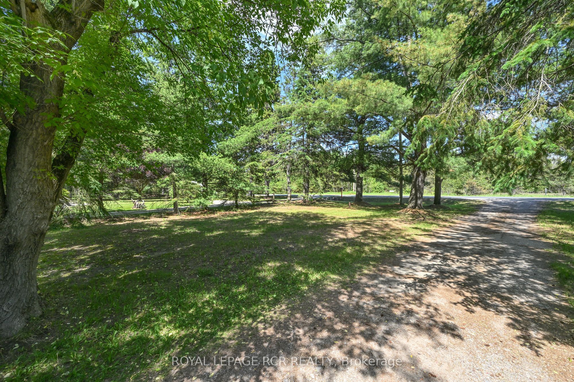 7262 County Road 13 Property Photo 19