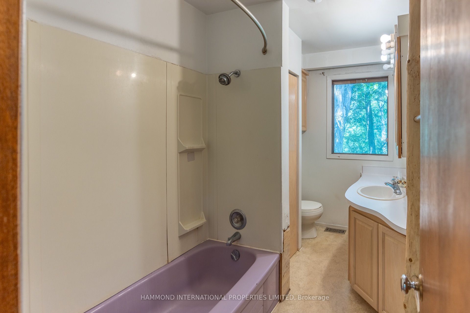 78 Birch Avenue Property Photo 8