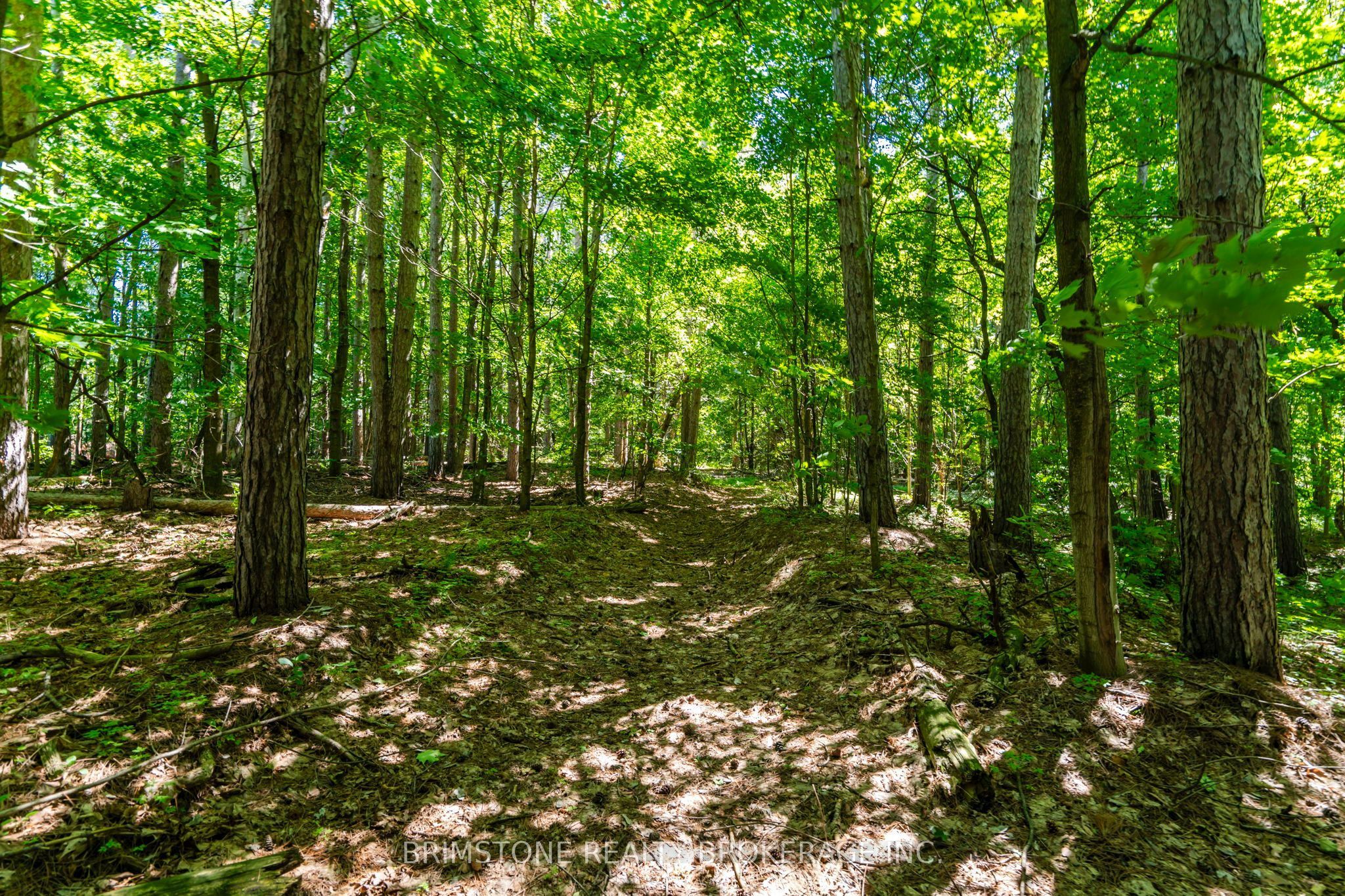 8231 56 County Road Property Photo 31