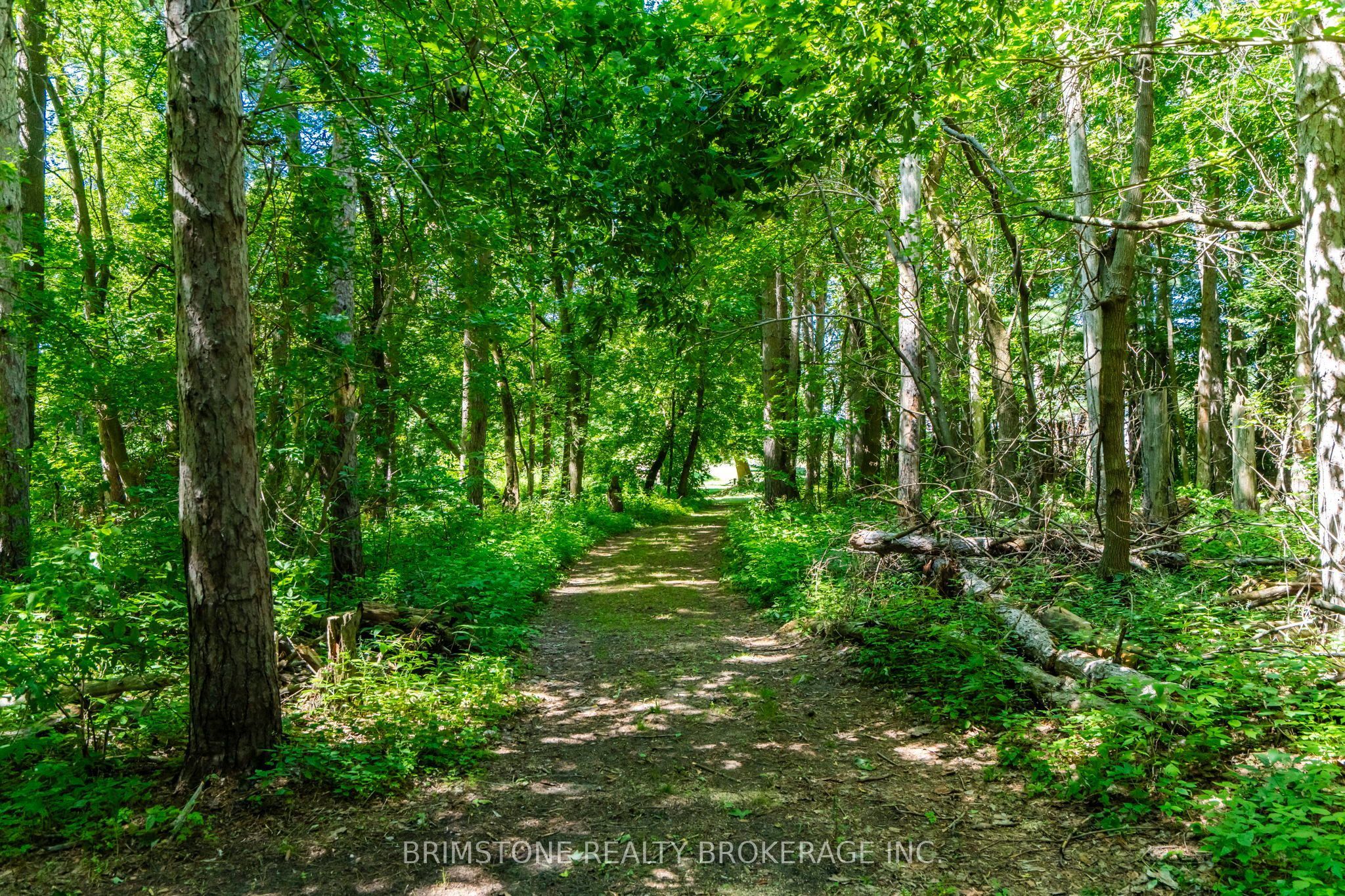 8231 56 County Road Property Photo 41