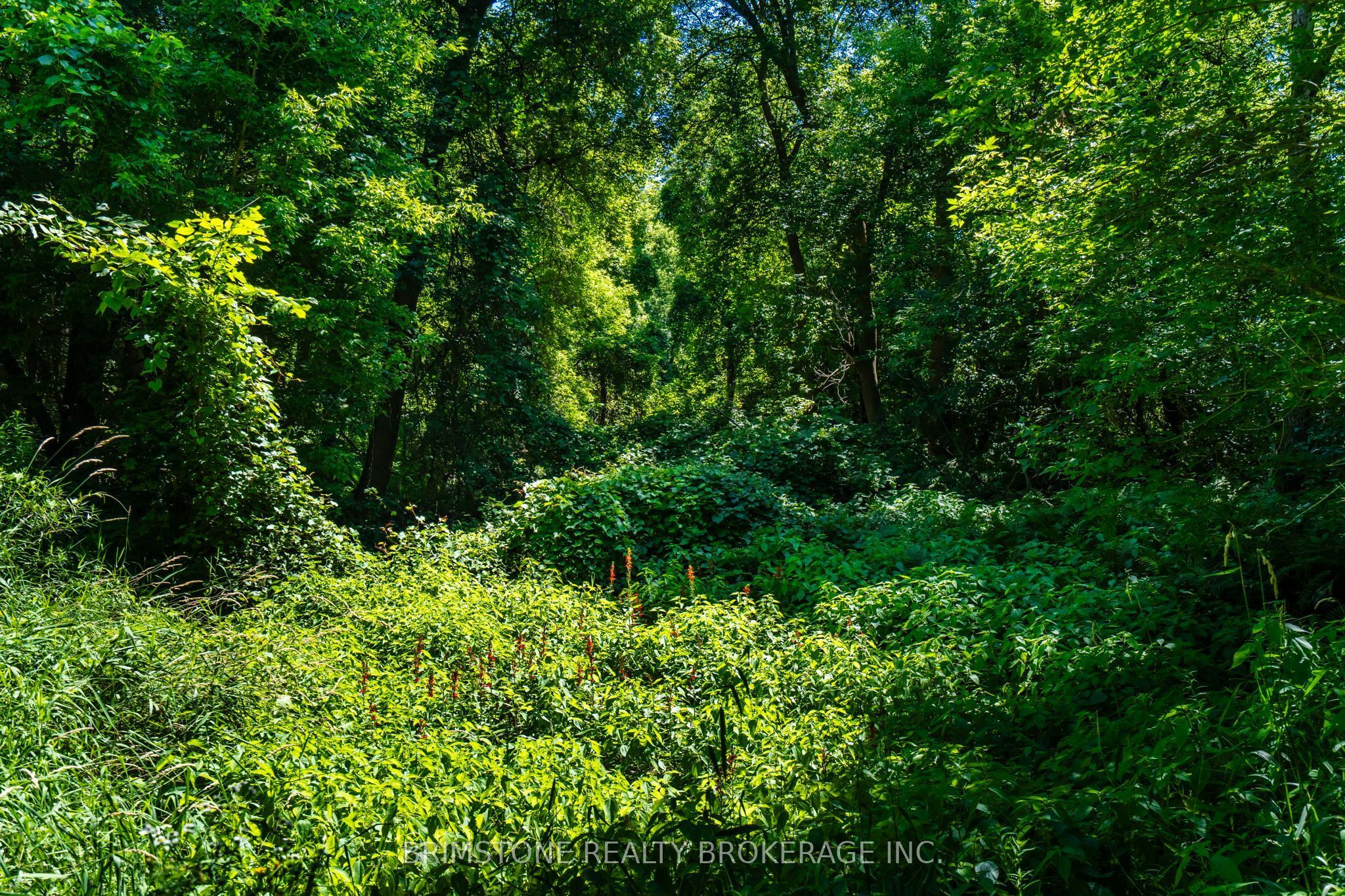 8231 56 County Road Property Photo 44