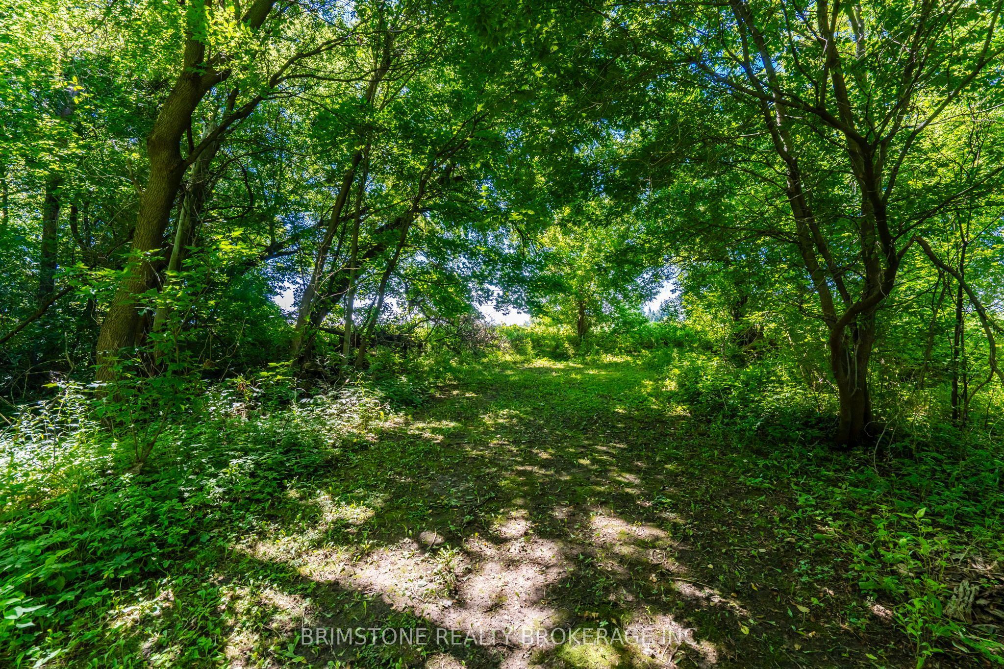 8231 56 County Road Property Photo 45