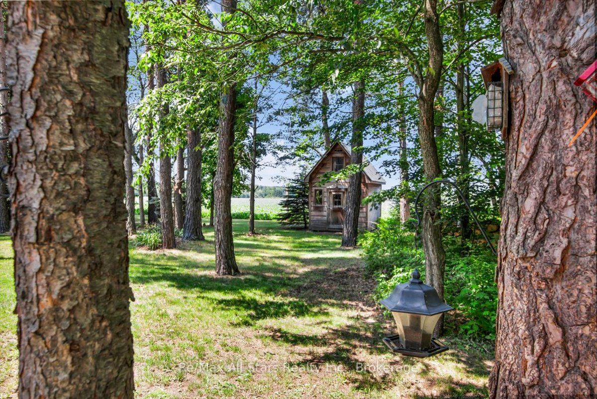 8480 Tosorontio Sideroad 20 Side Road Property Photo 43