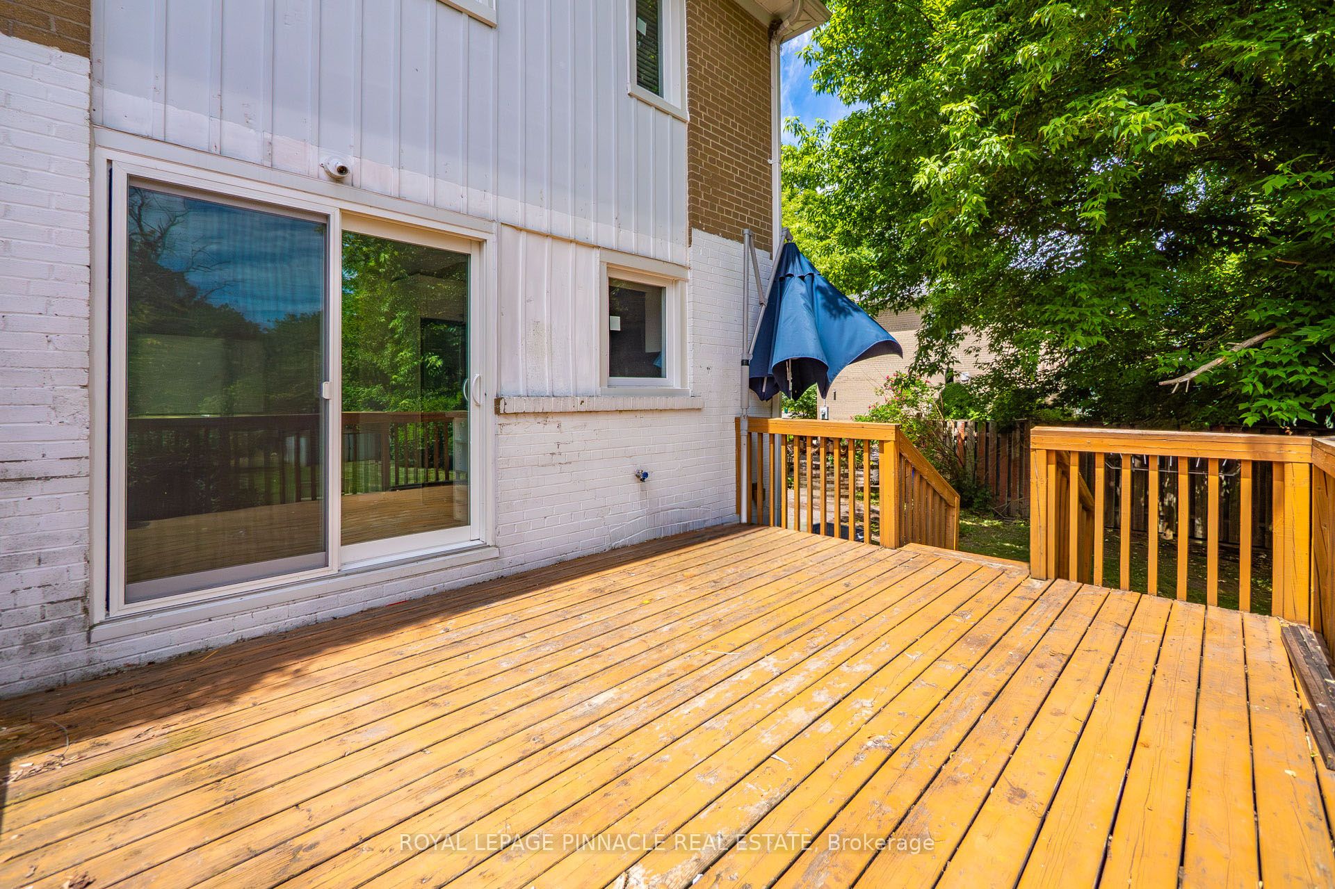 11 Elizabeth Street Property Photo 45