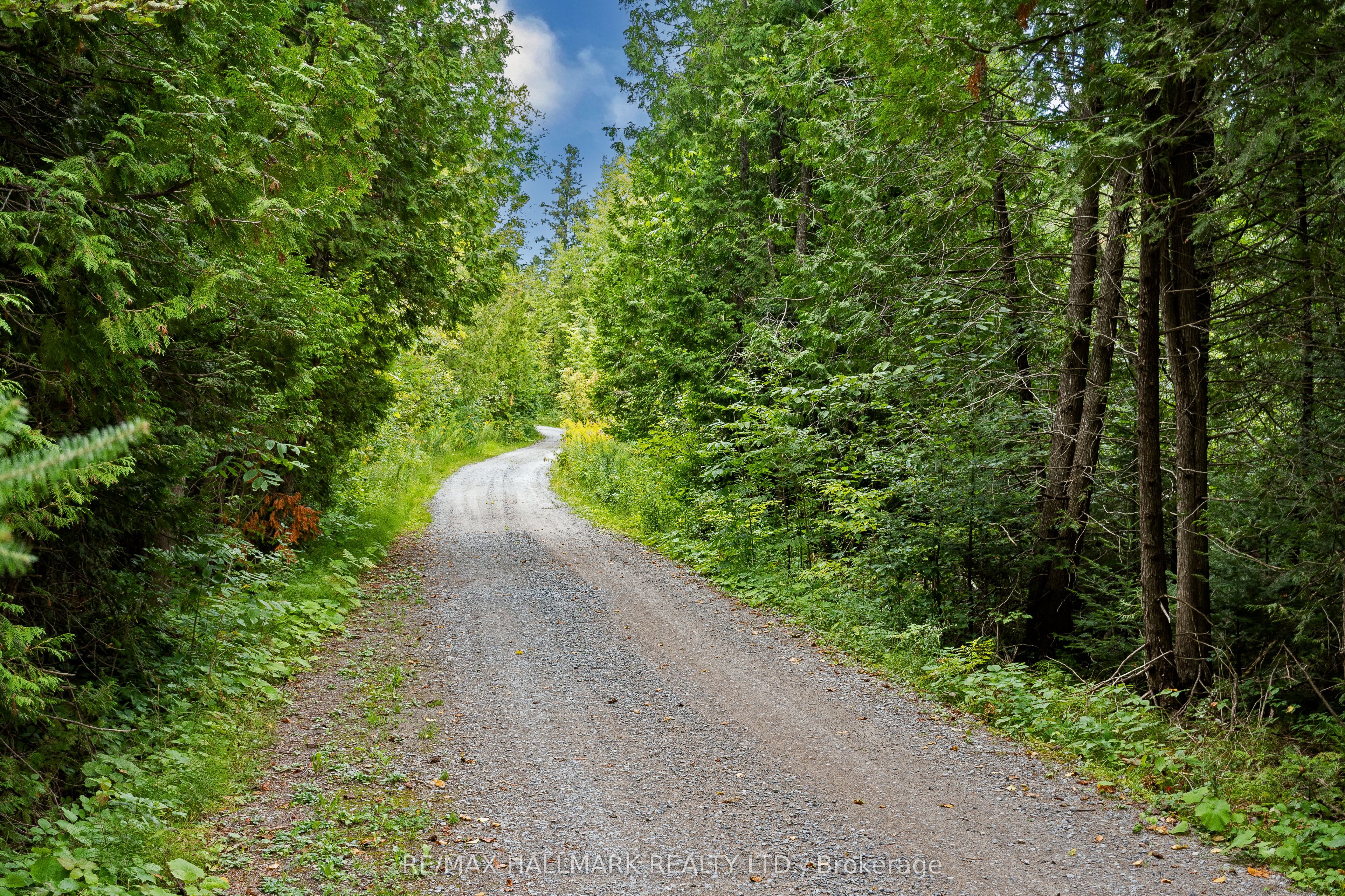 175 Concession 2 Road Property Photo 45